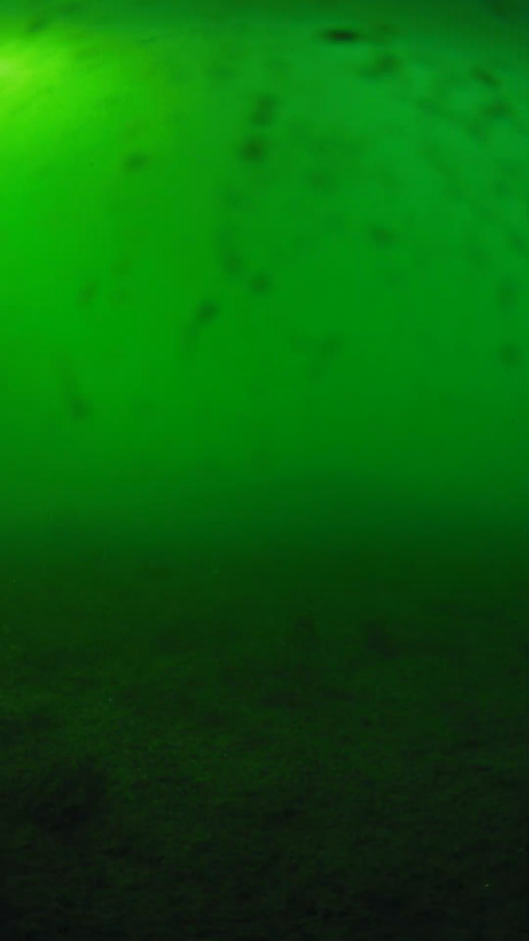 lander_ipcam_20240623173552.png
