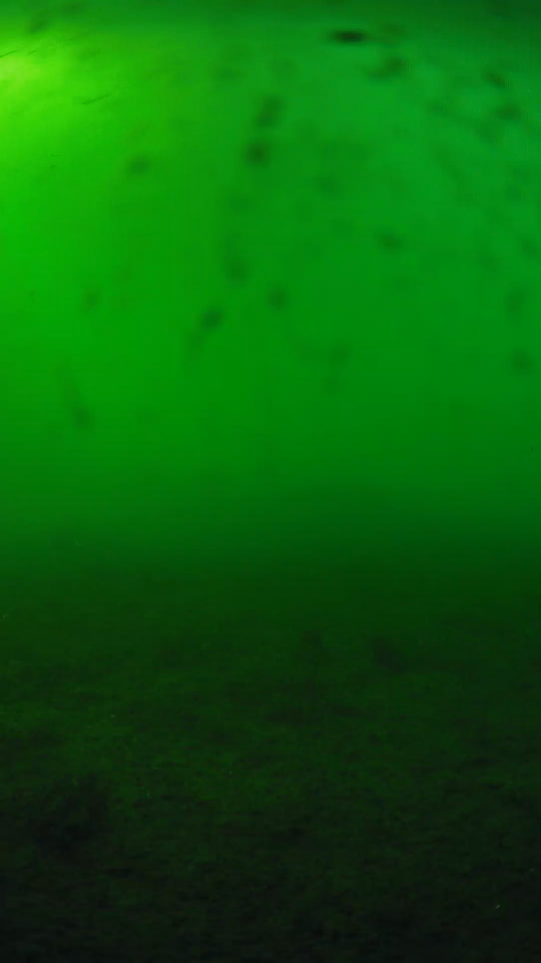 lander_ipcam_20240623173554.png