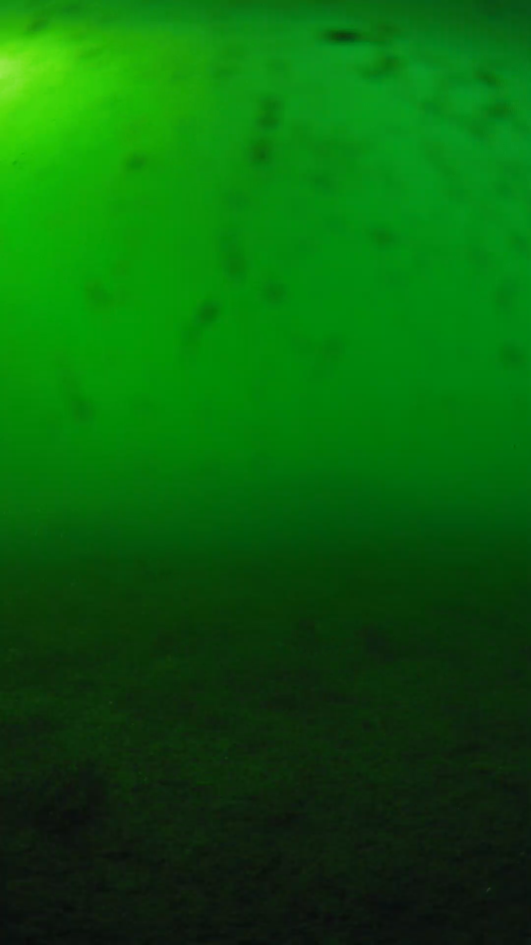 lander_ipcam_20240623173555.png