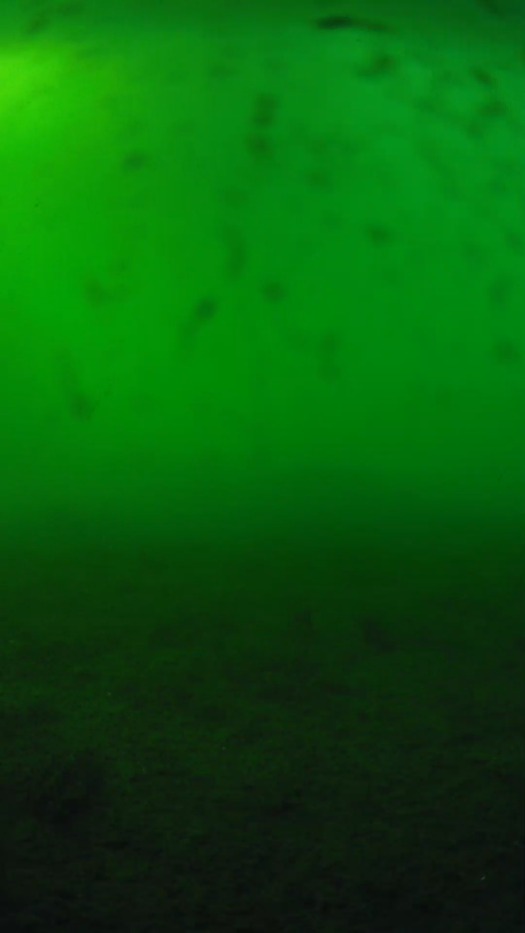 lander_ipcam_20240623173559.png