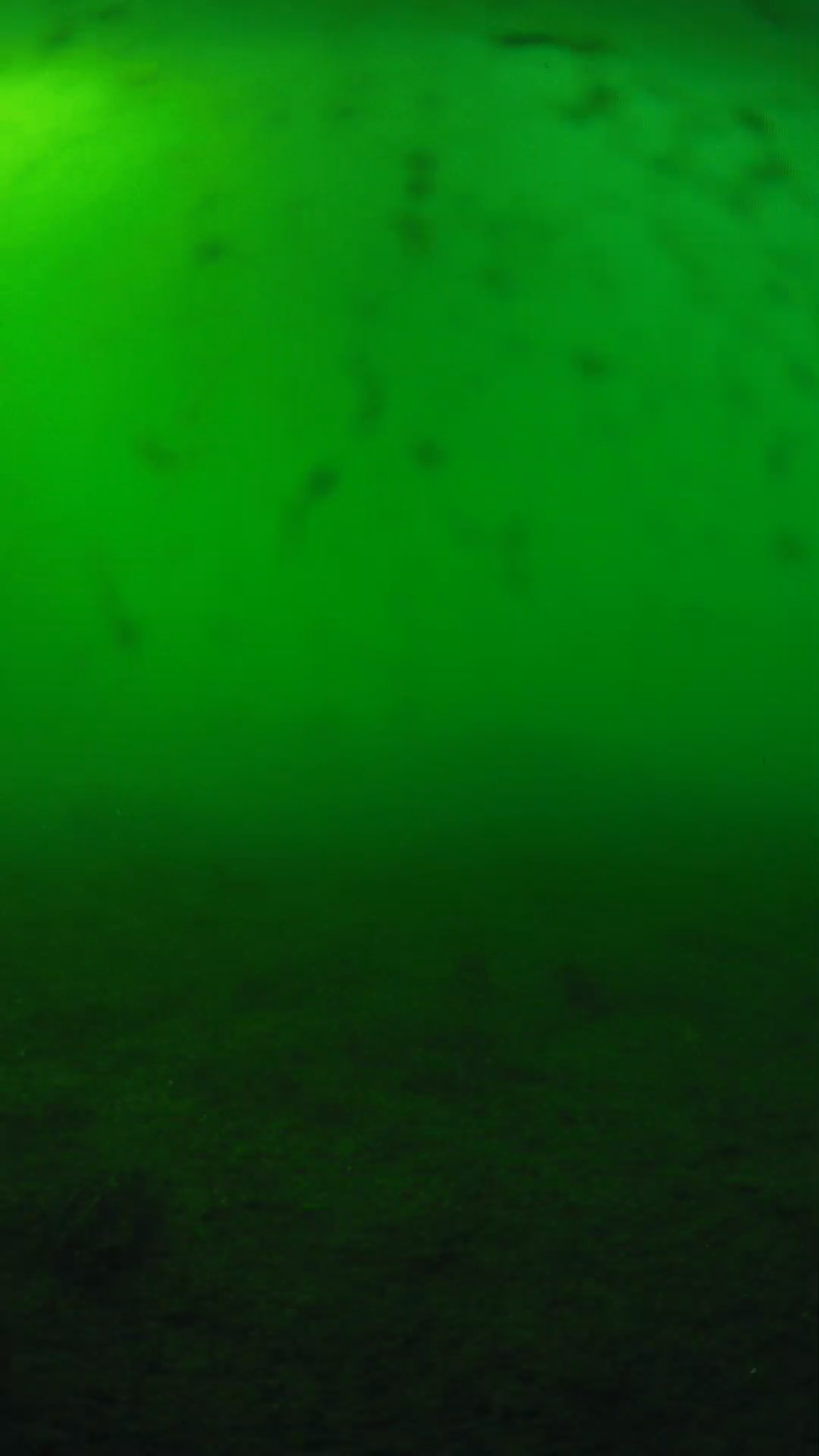 lander_ipcam_20240623173600.png