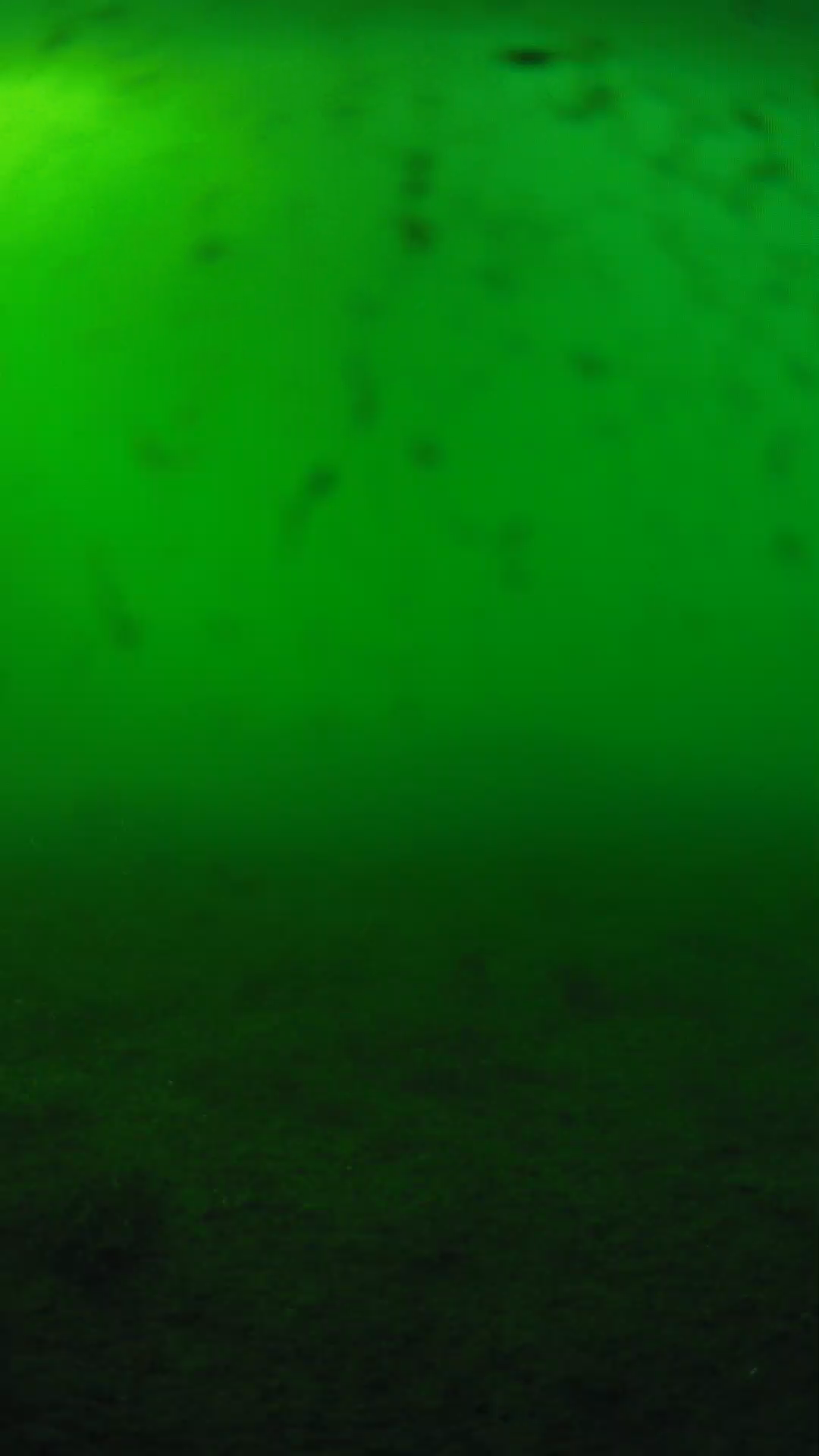 lander_ipcam_20240623173602.png
