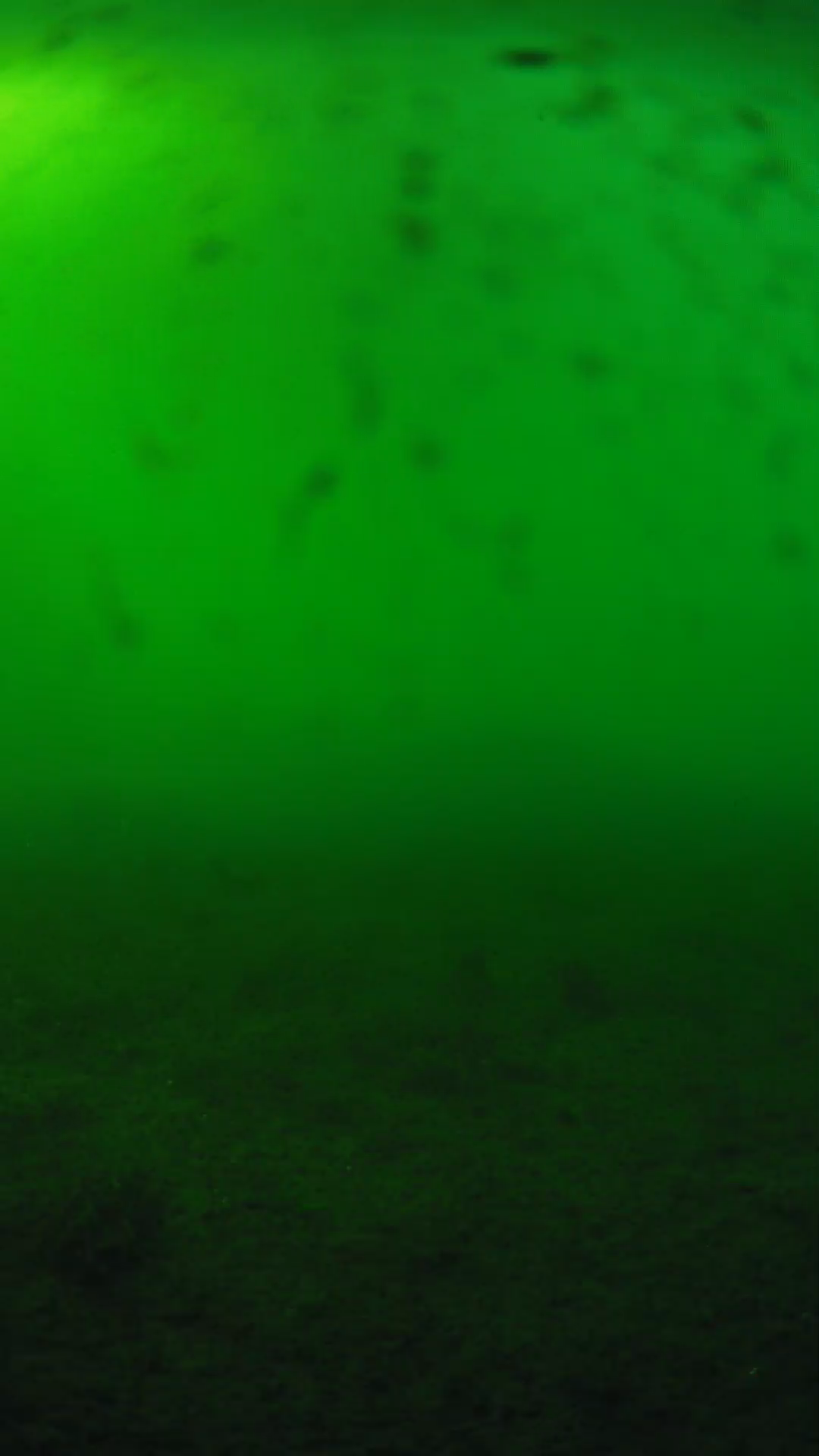 lander_ipcam_20240623173603.png