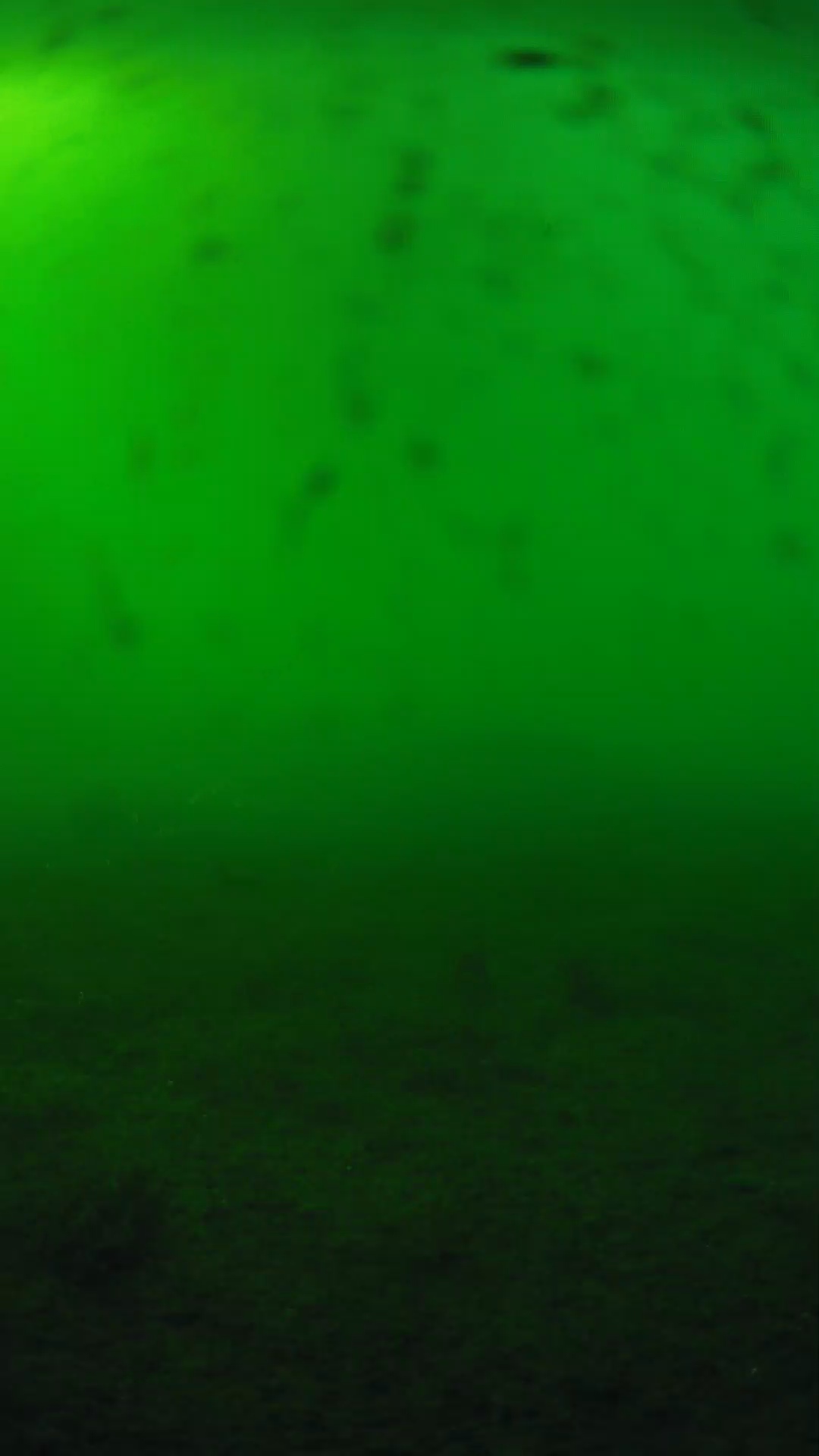 lander_ipcam_20240623173607.png