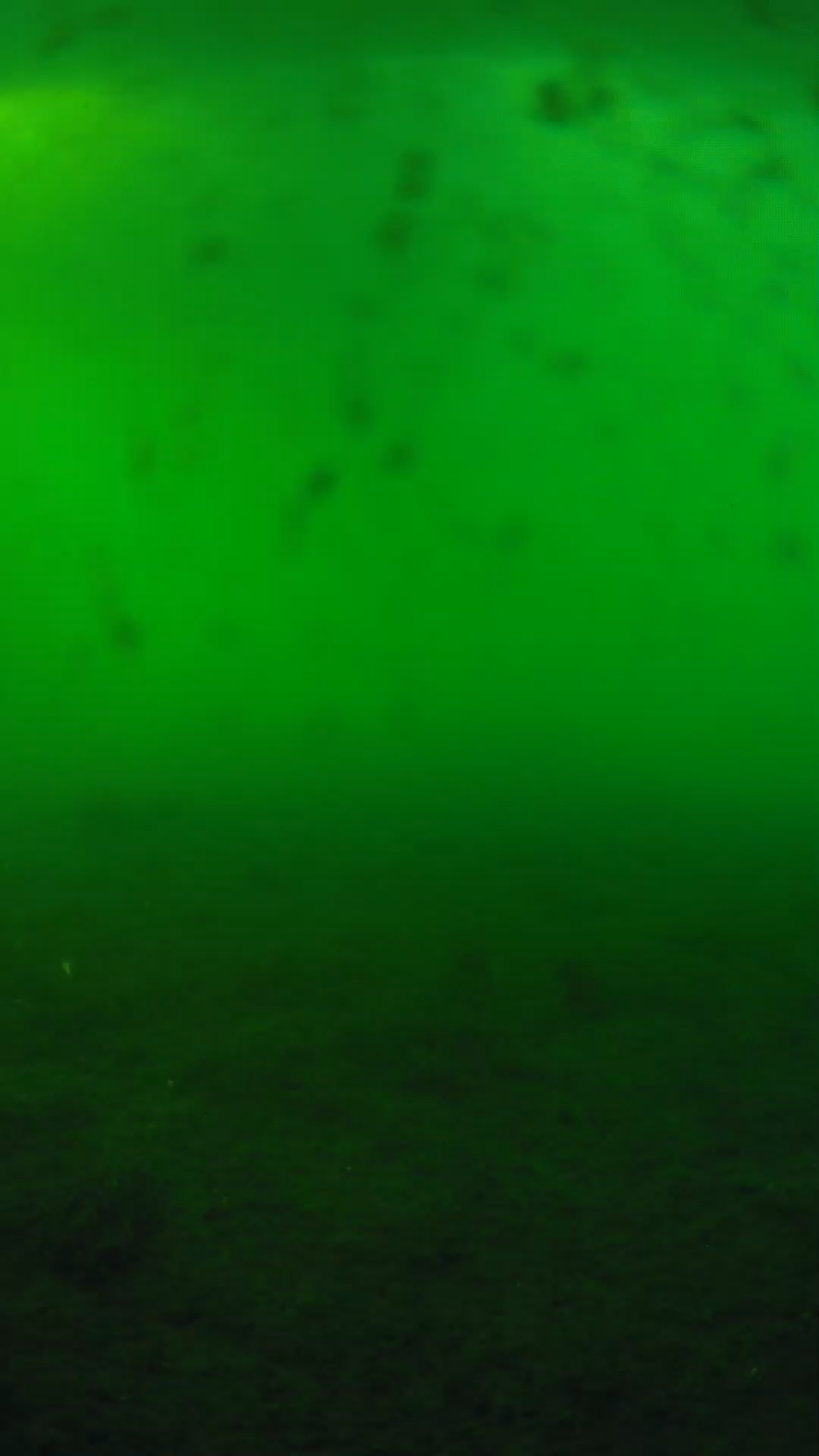 lander_ipcam_20240623180540.png