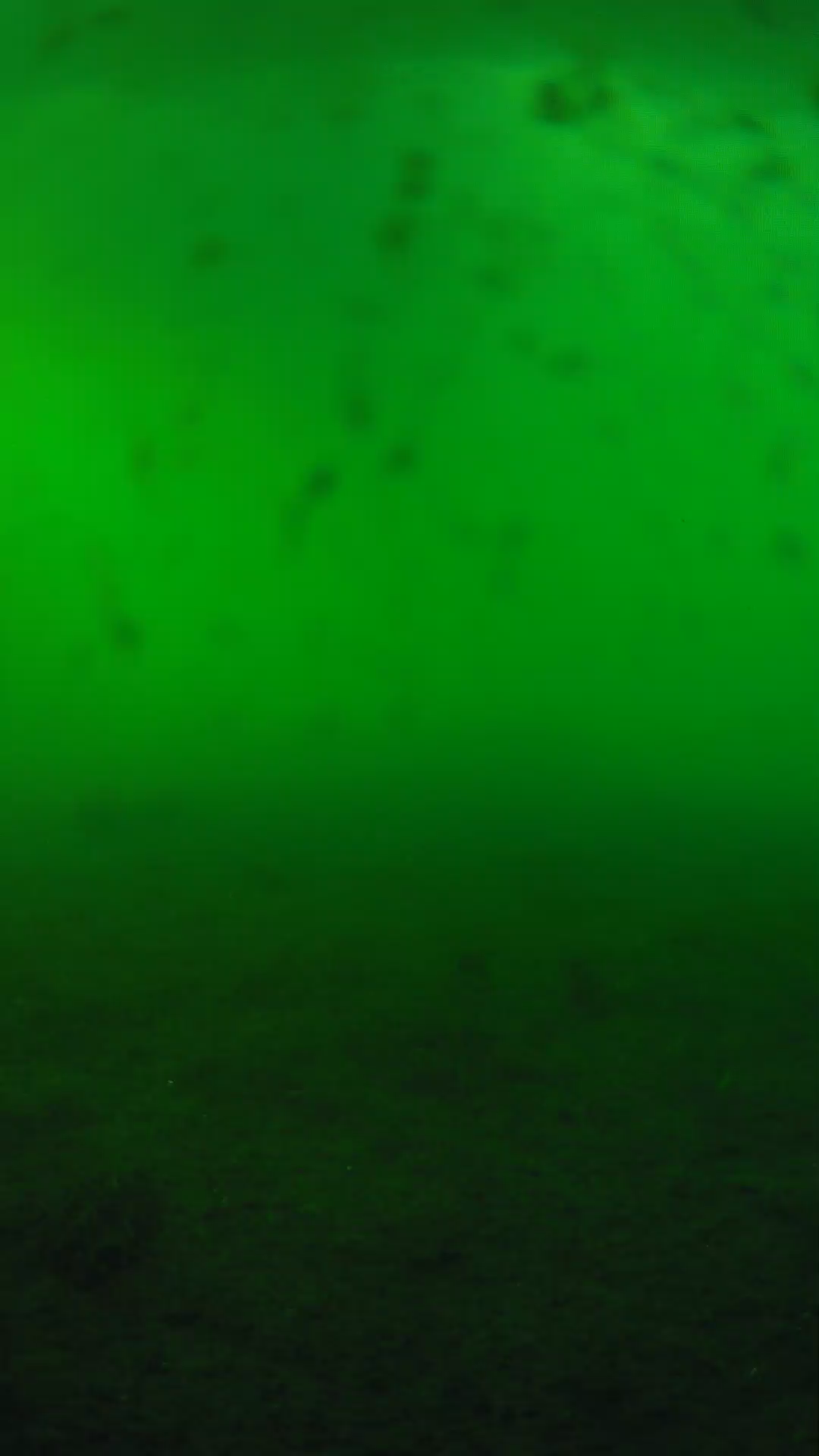 lander_ipcam_20240623180543.png