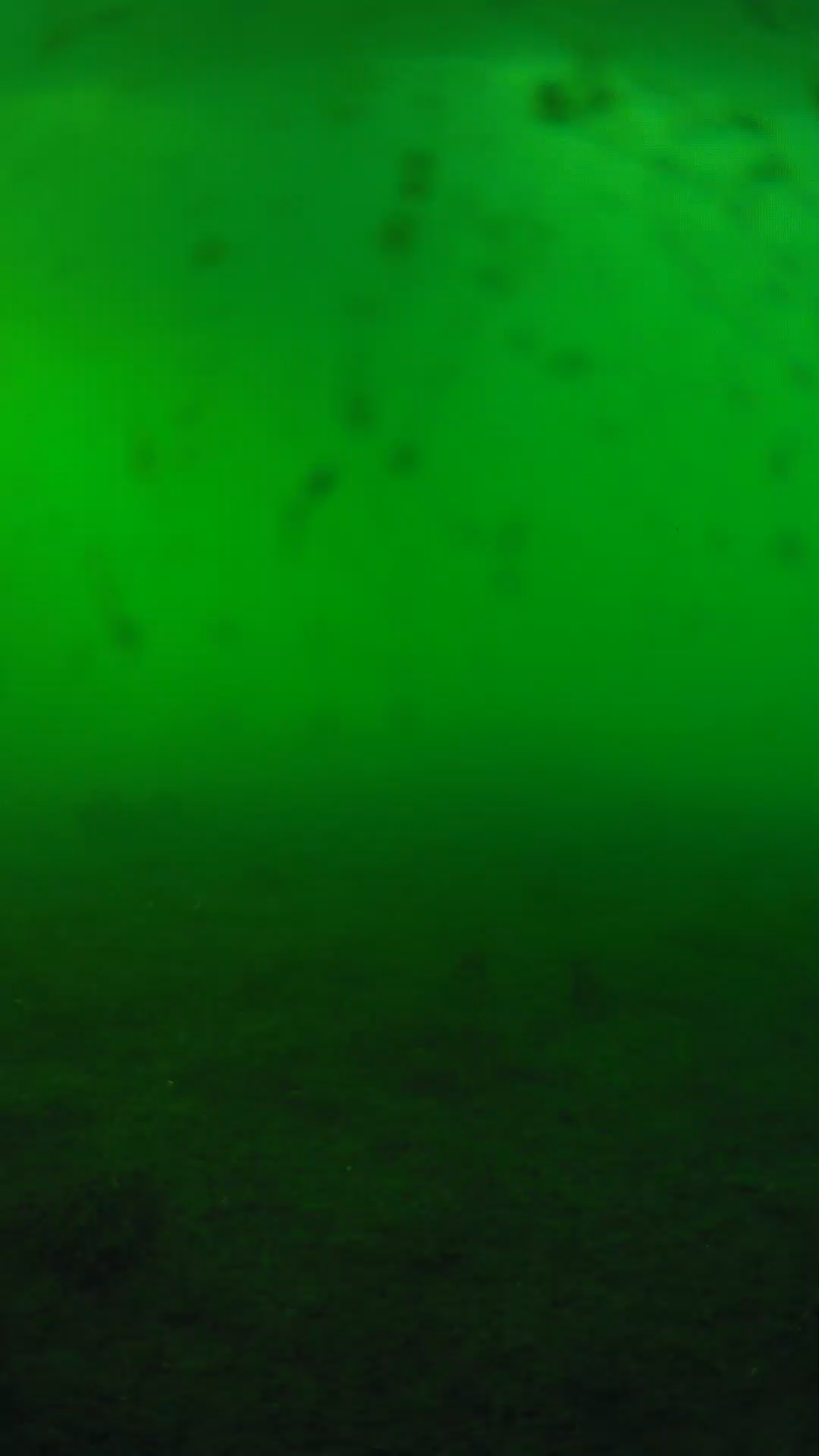 lander_ipcam_20240623180546.png