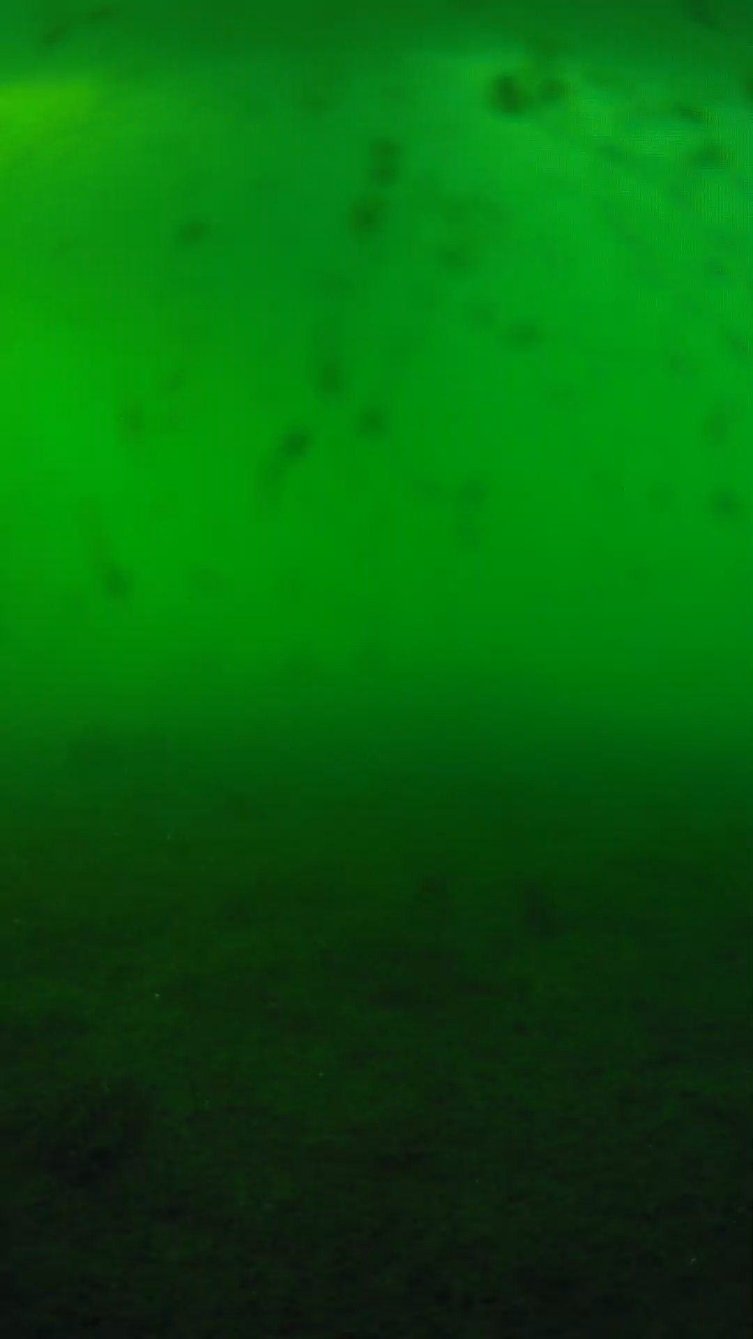 lander_ipcam_20240623180547.png
