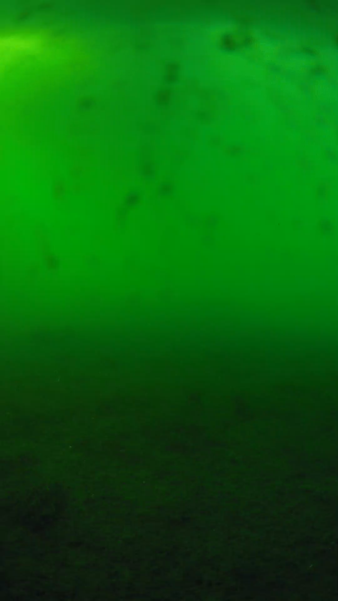 lander_ipcam_20240623180551.png