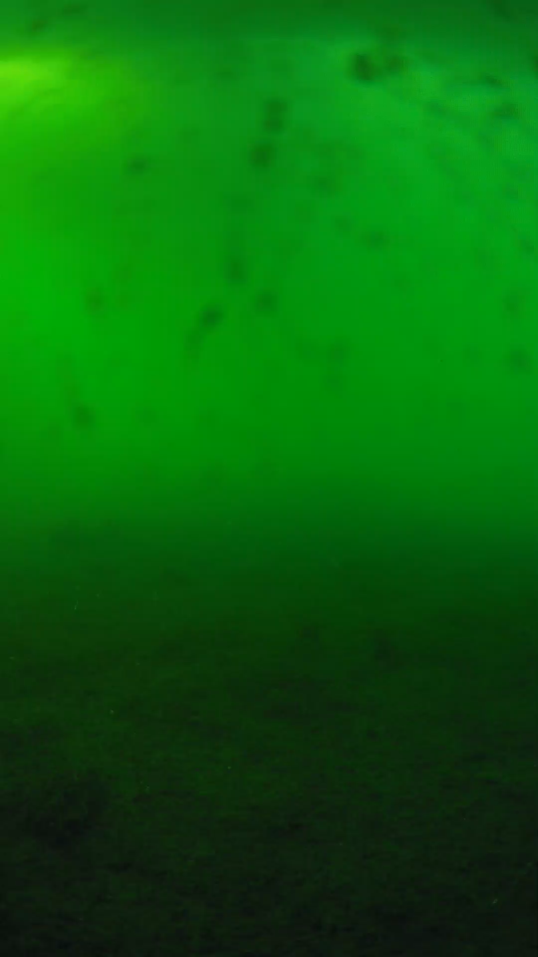 lander_ipcam_20240623180553.png