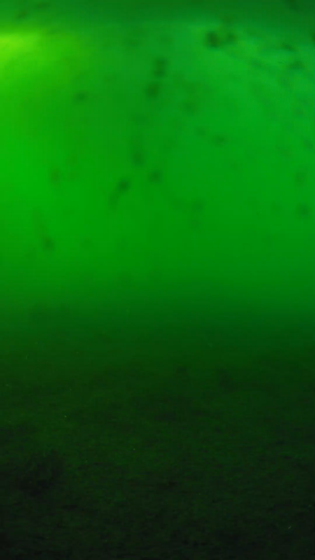 lander_ipcam_20240623180556.png