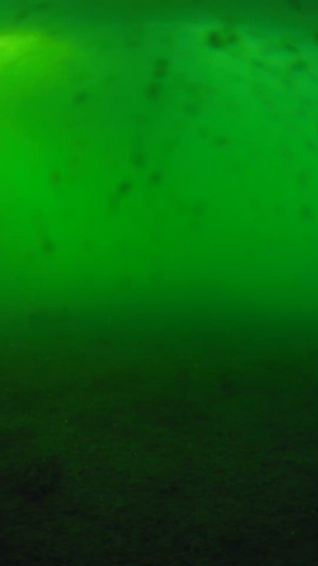 lander_ipcam_20240623180559.png
