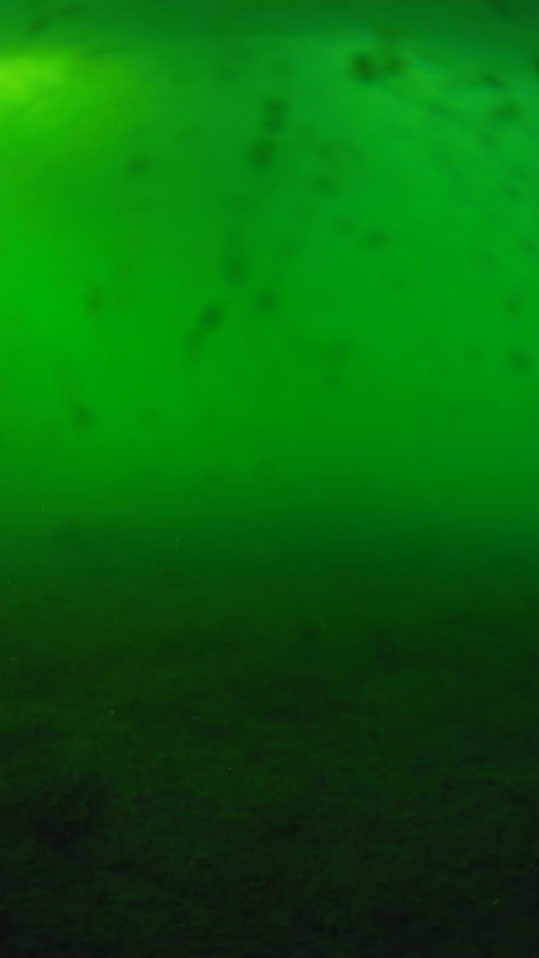 lander_ipcam_20240623180600.png