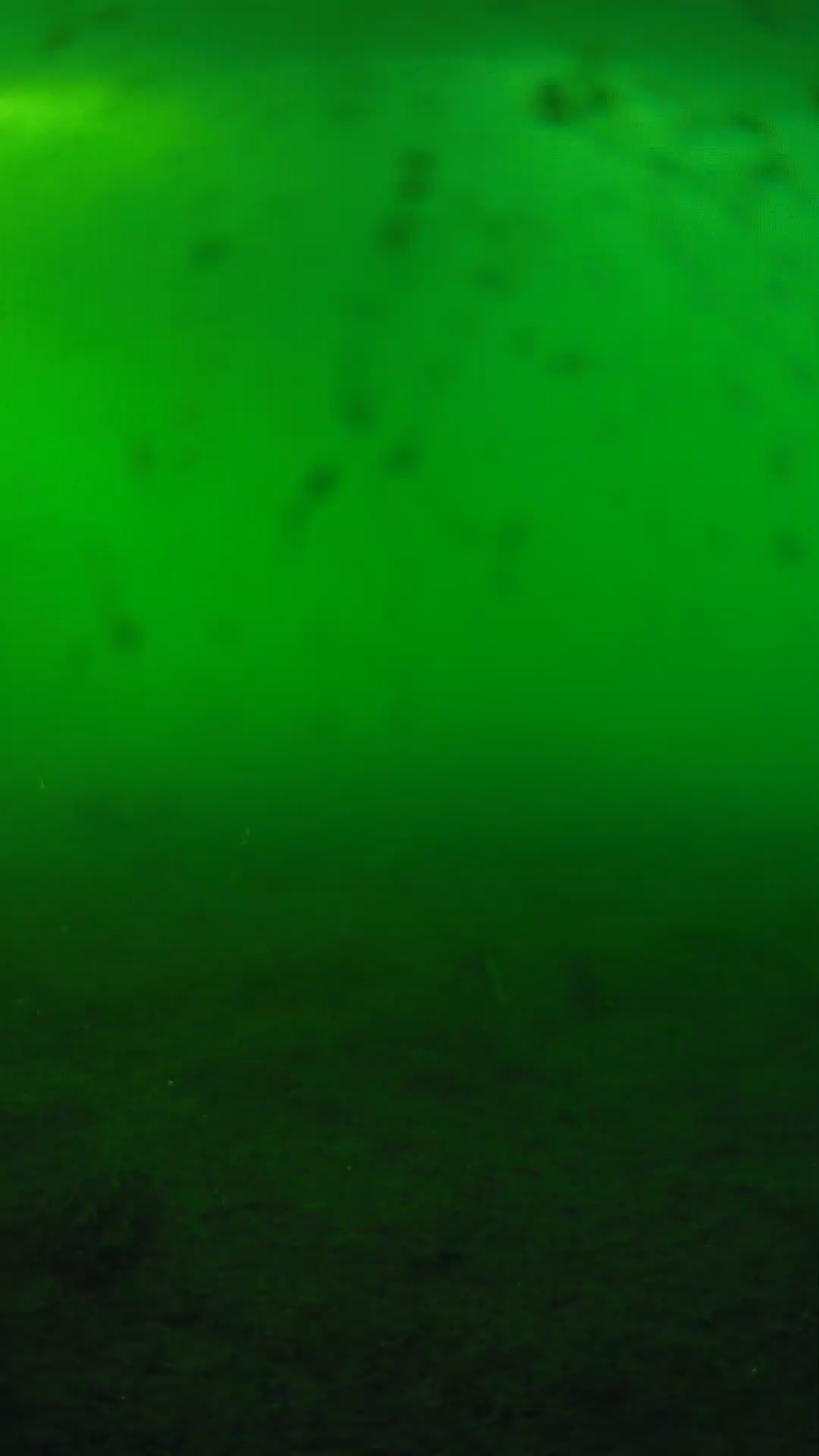 lander_ipcam_20240623180602.png