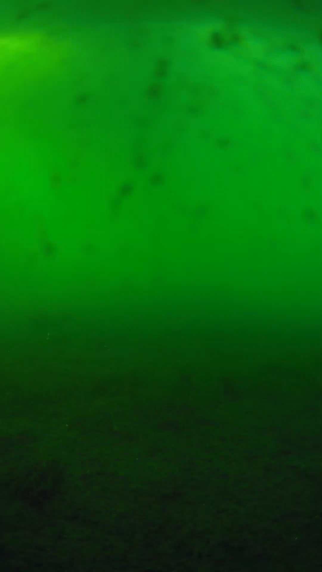 lander_ipcam_20240623180607.png
