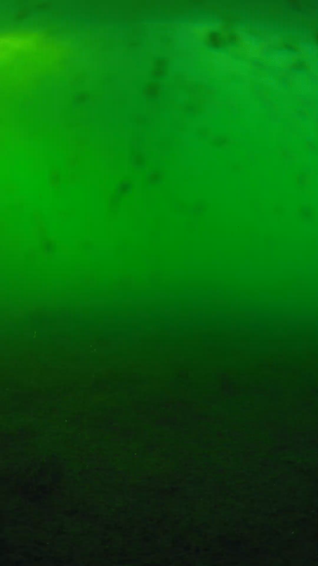 lander_ipcam_20240623180608.png