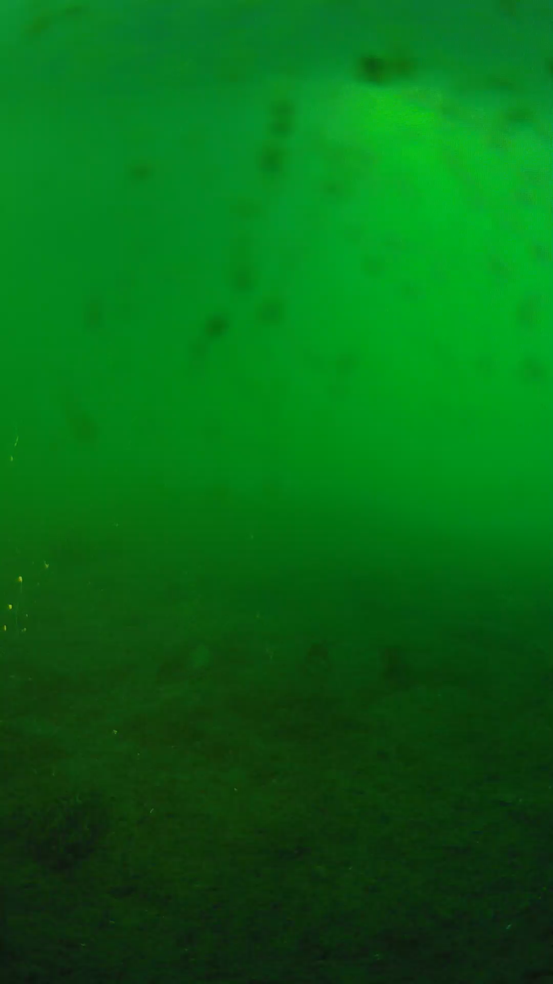 lander_ipcam_20240623190604.png