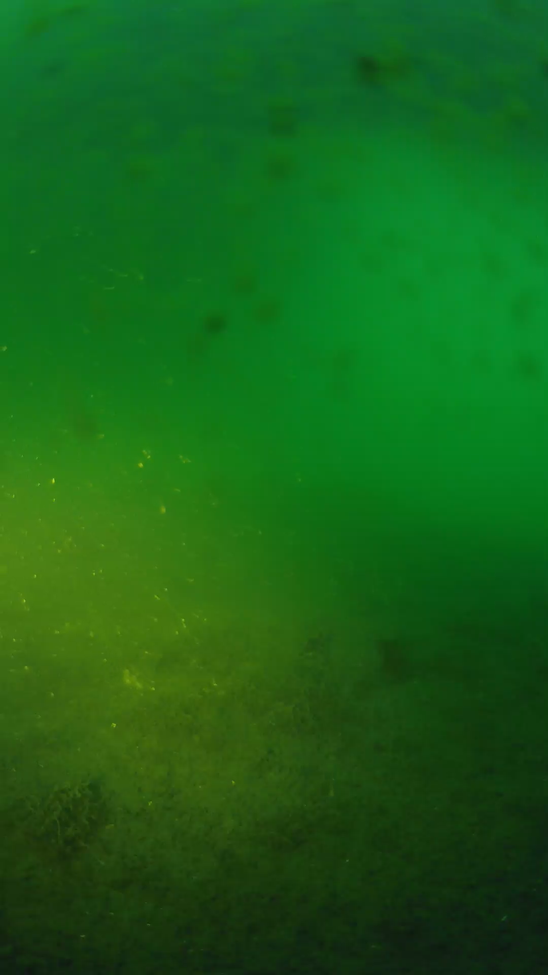 lander_ipcam_20240623200555.png