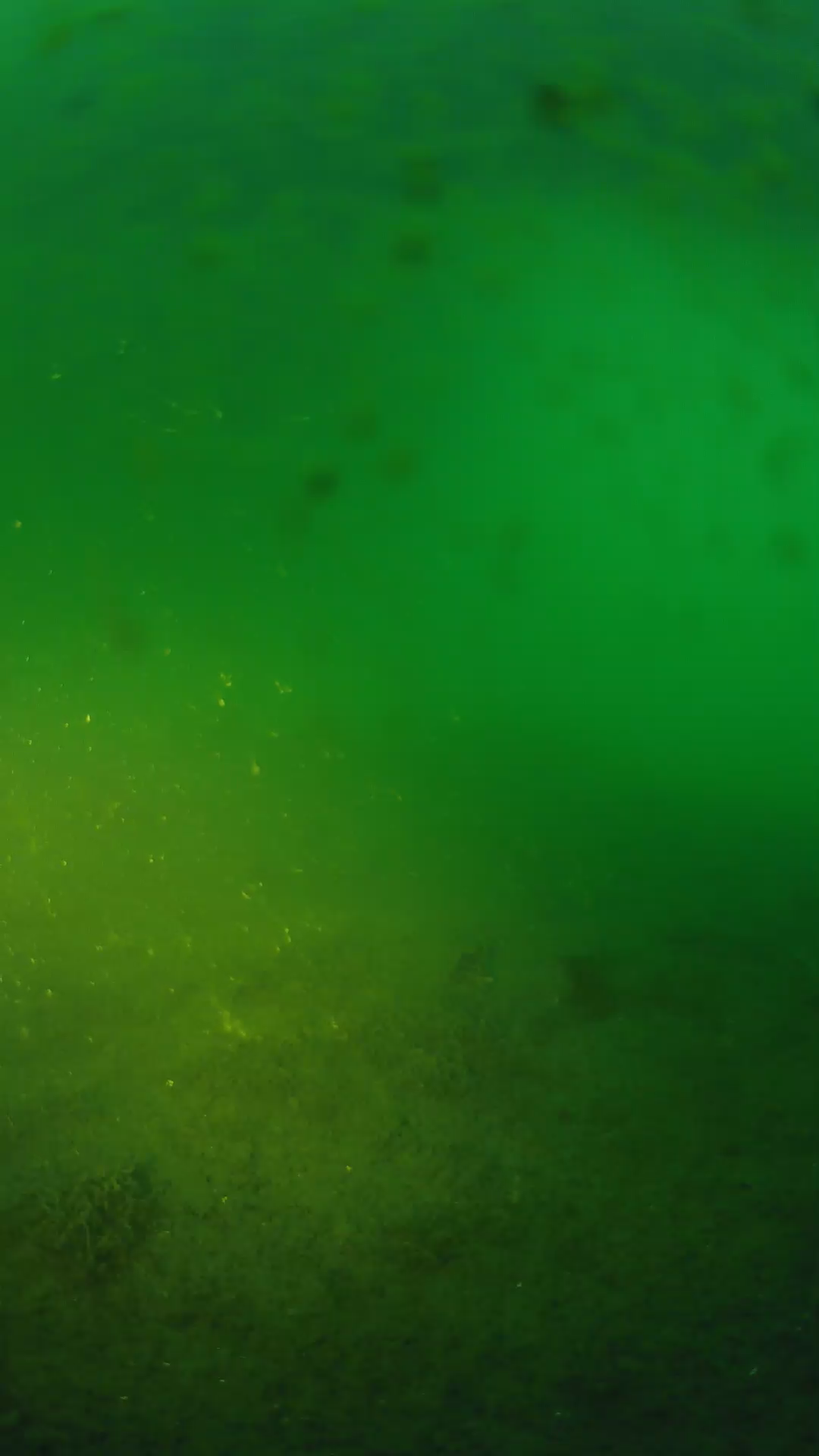 lander_ipcam_20240623200556.png