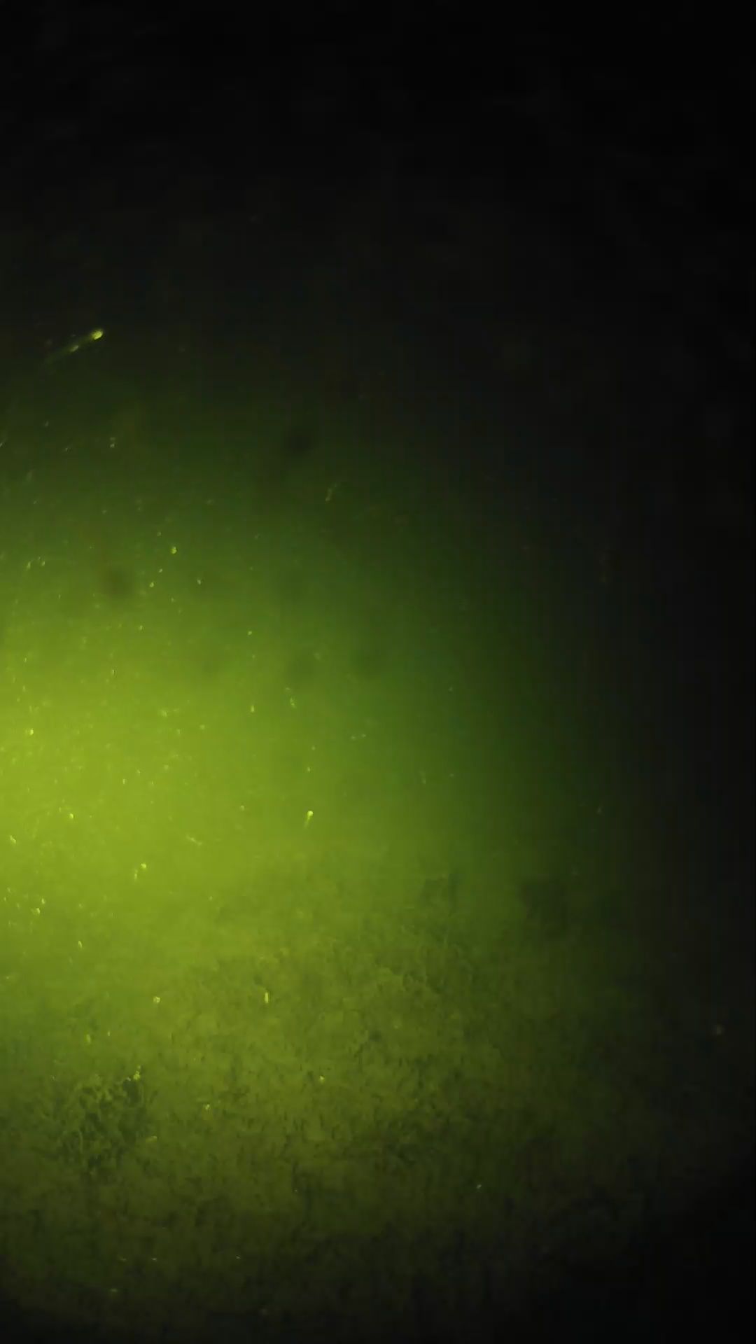lander_ipcam_20240623210539.png
