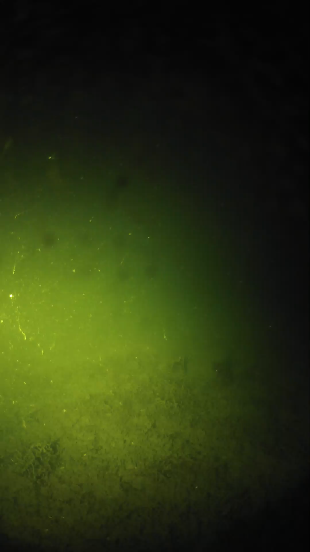 lander_ipcam_20240623213539.png