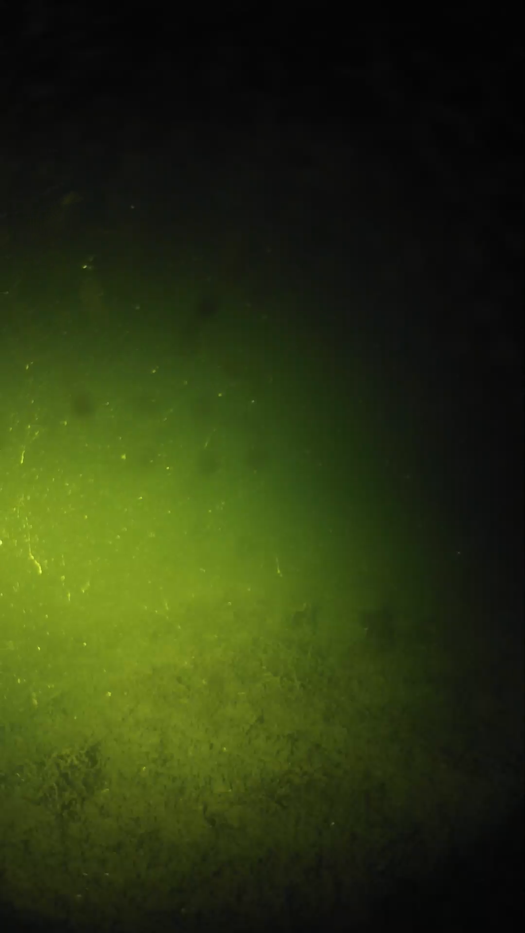lander_ipcam_20240623213540.png