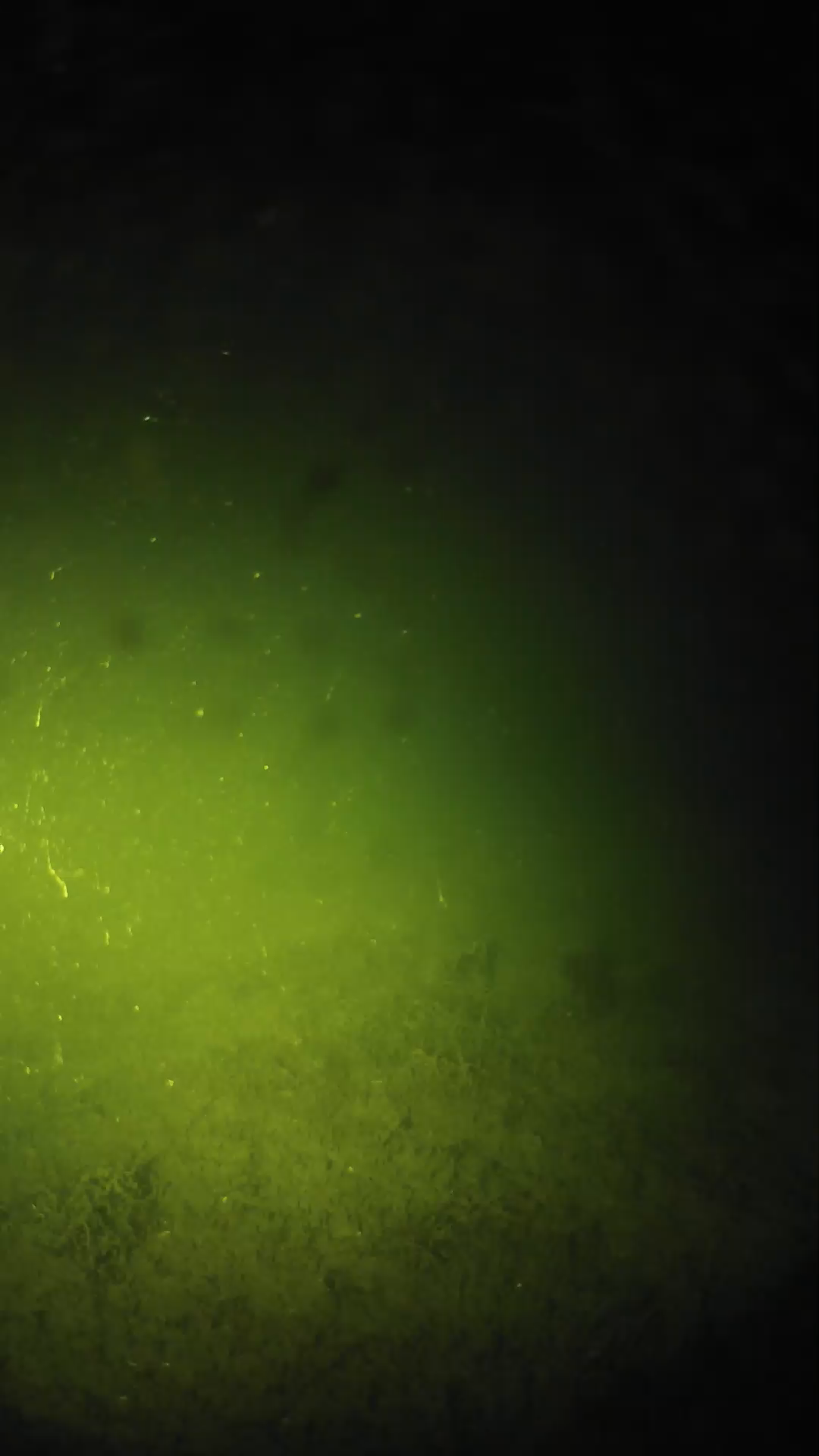 lander_ipcam_20240623213542.png