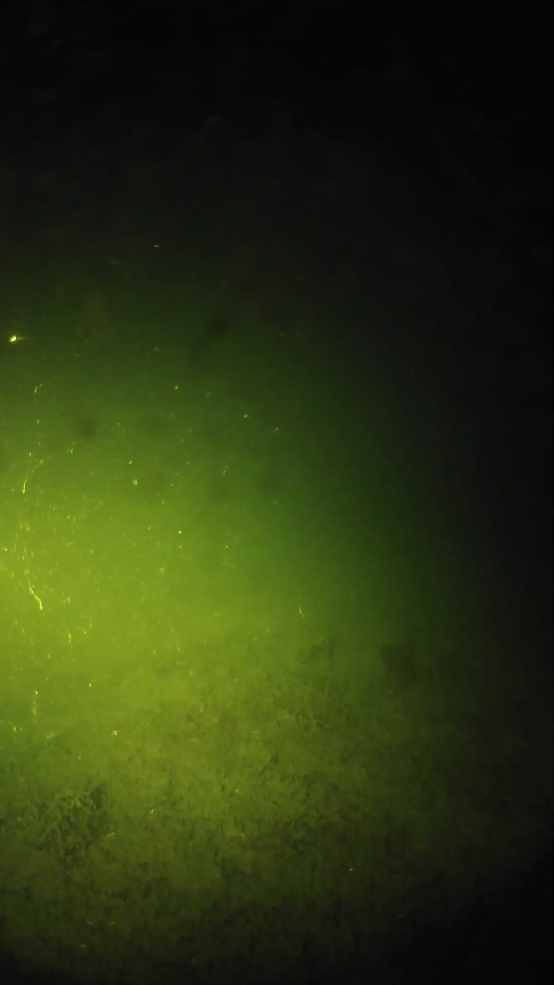 lander_ipcam_20240623213543.png