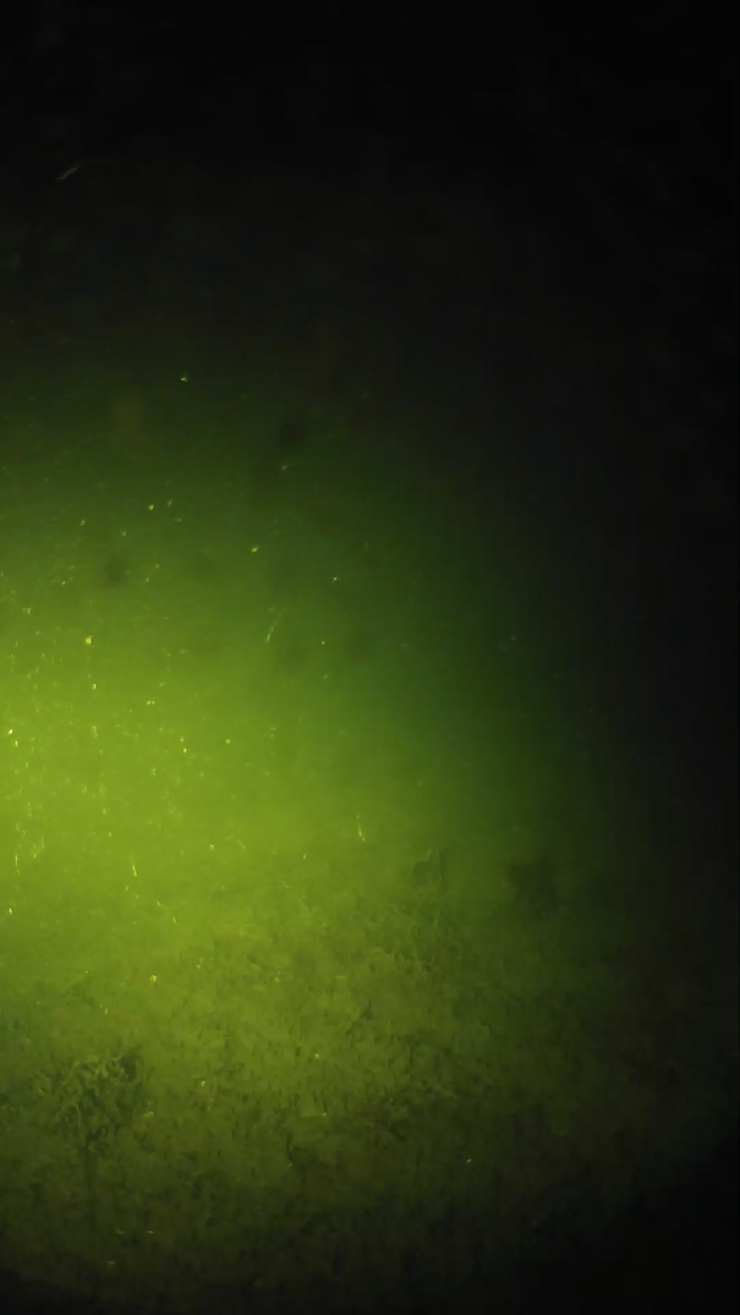 lander_ipcam_20240623213551.png
