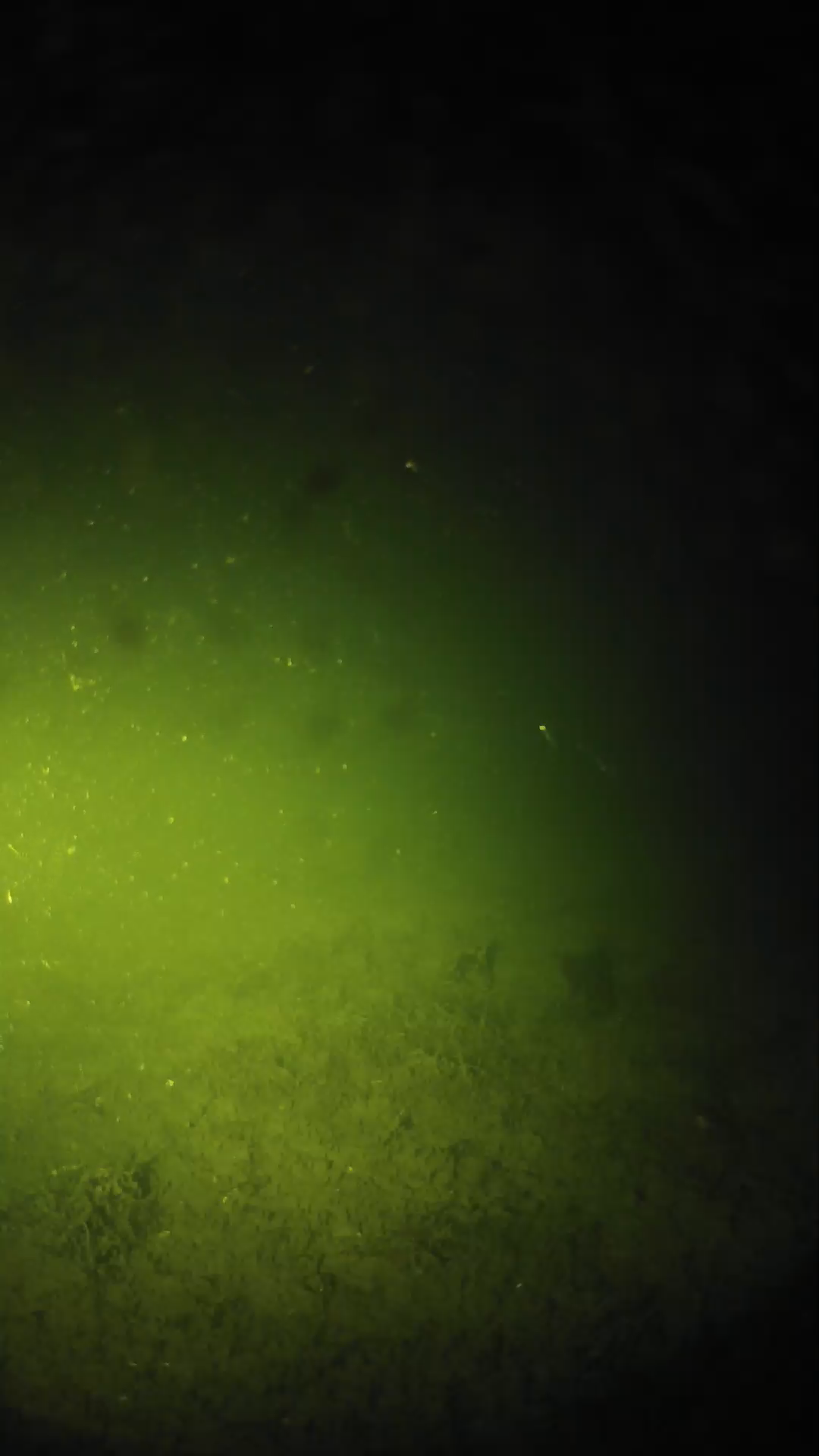 lander_ipcam_20240623220555.png