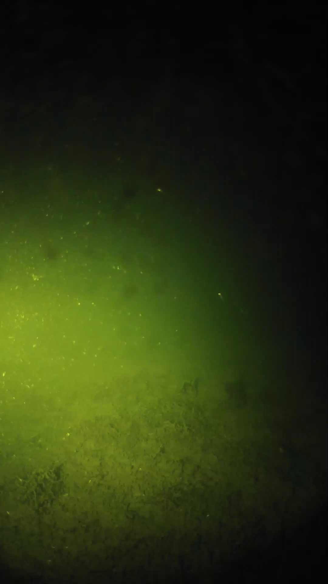 lander_ipcam_20240623220557.png