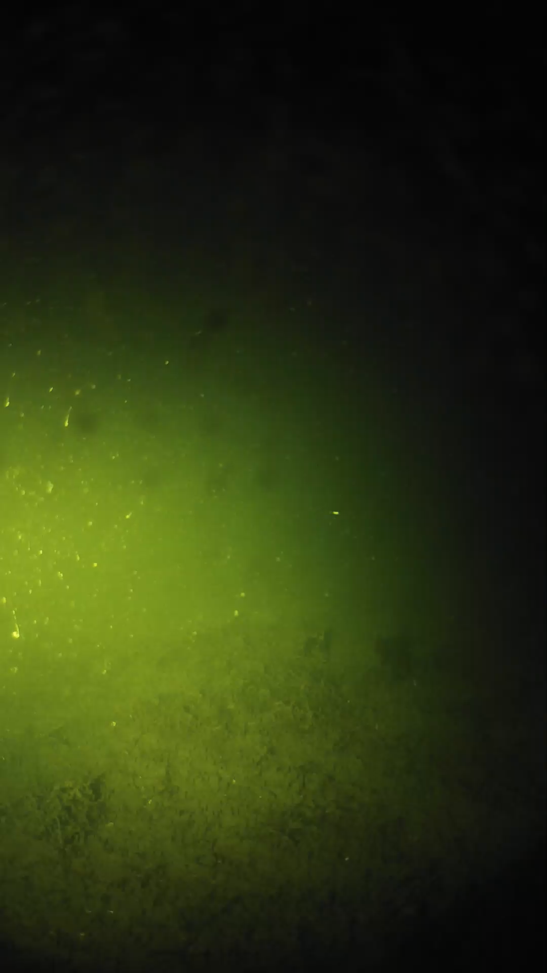 lander_ipcam_20240623230538.png