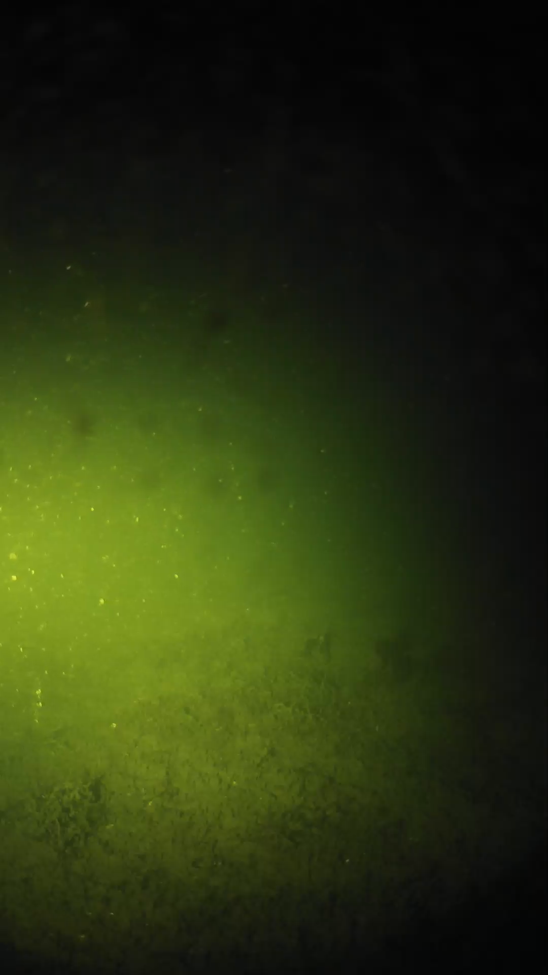 lander_ipcam_20240623230553.png
