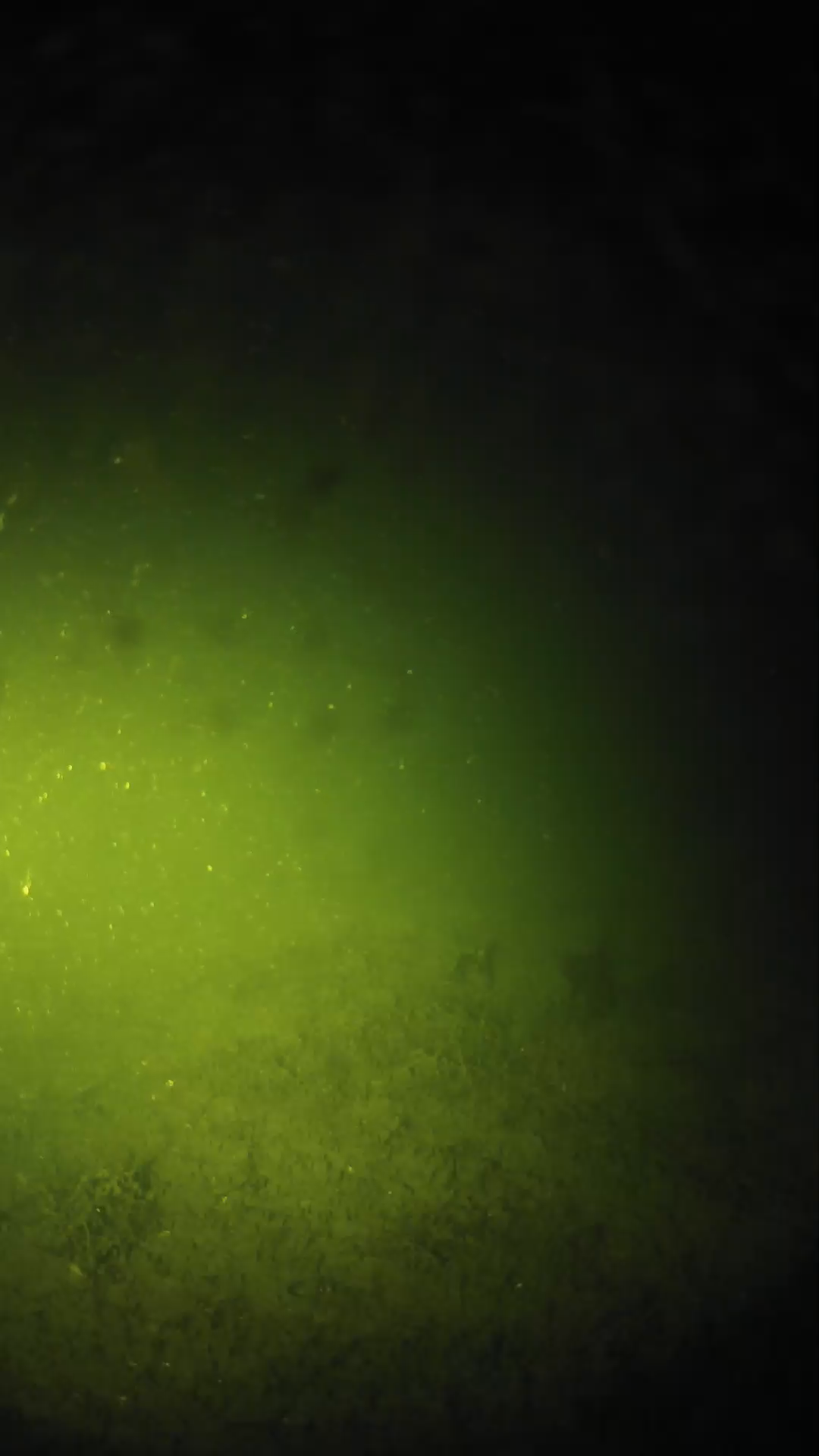lander_ipcam_20240623230556.png