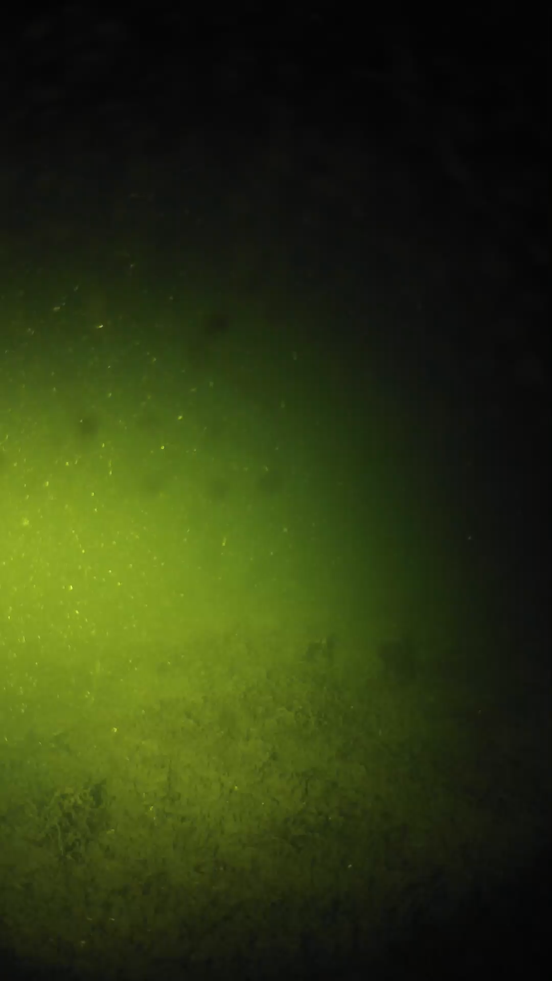lander_ipcam_20240623230604.png