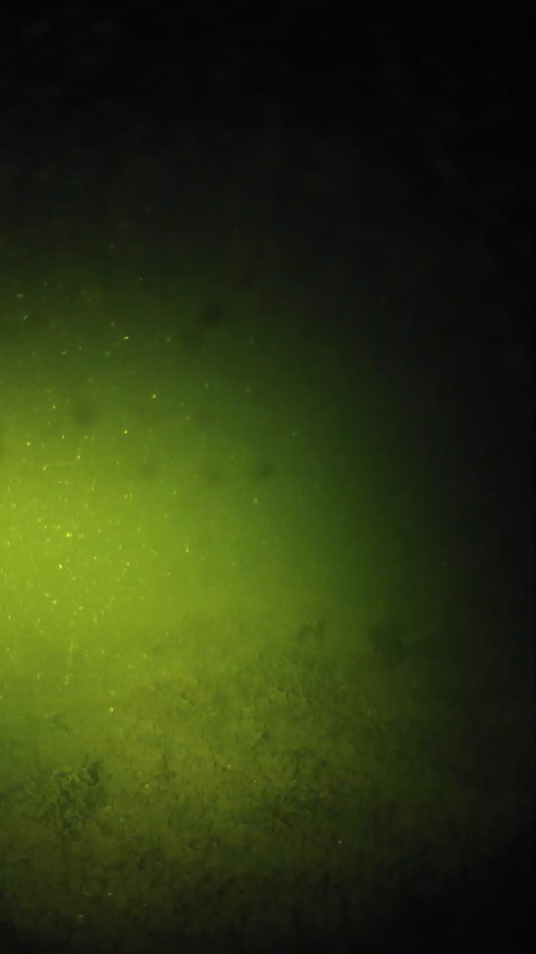 lander_ipcam_20240623230607.png