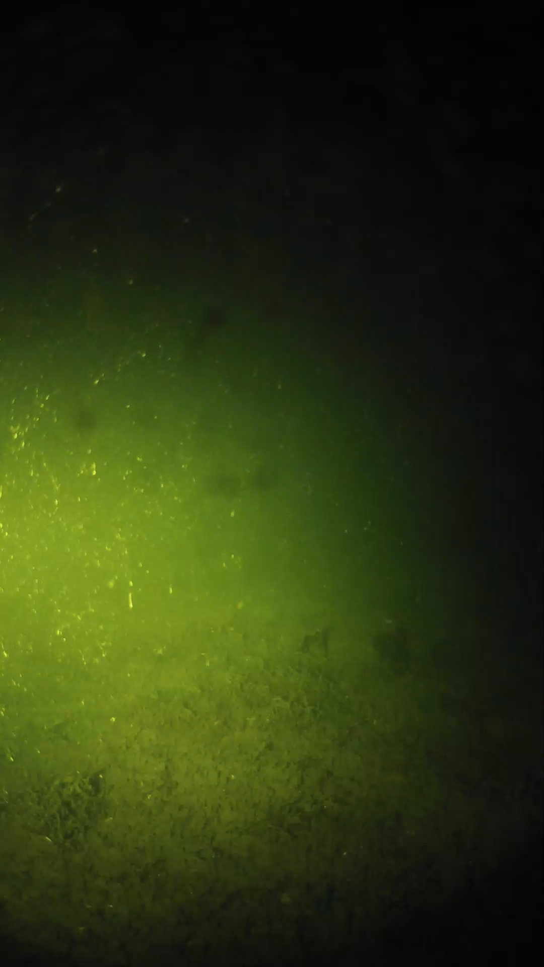lander_ipcam_20240623233540.png