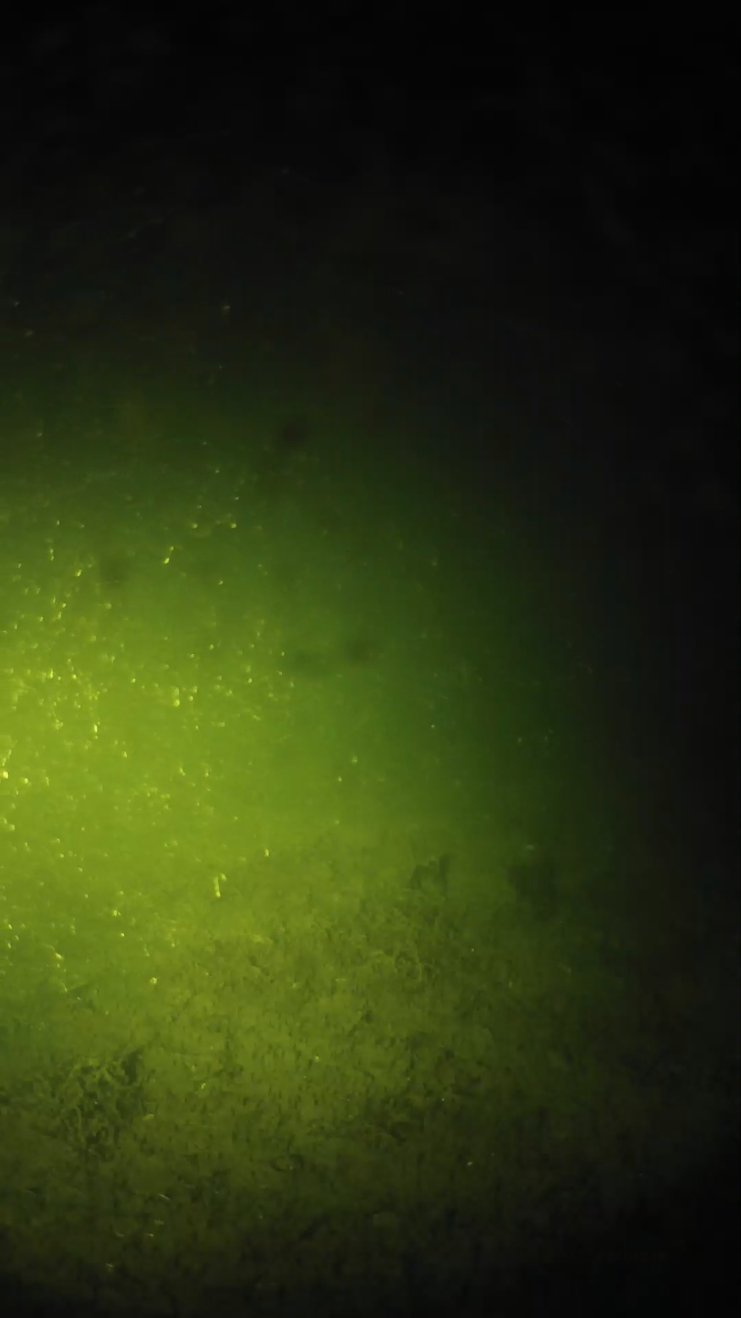 lander_ipcam_20240623233548.png