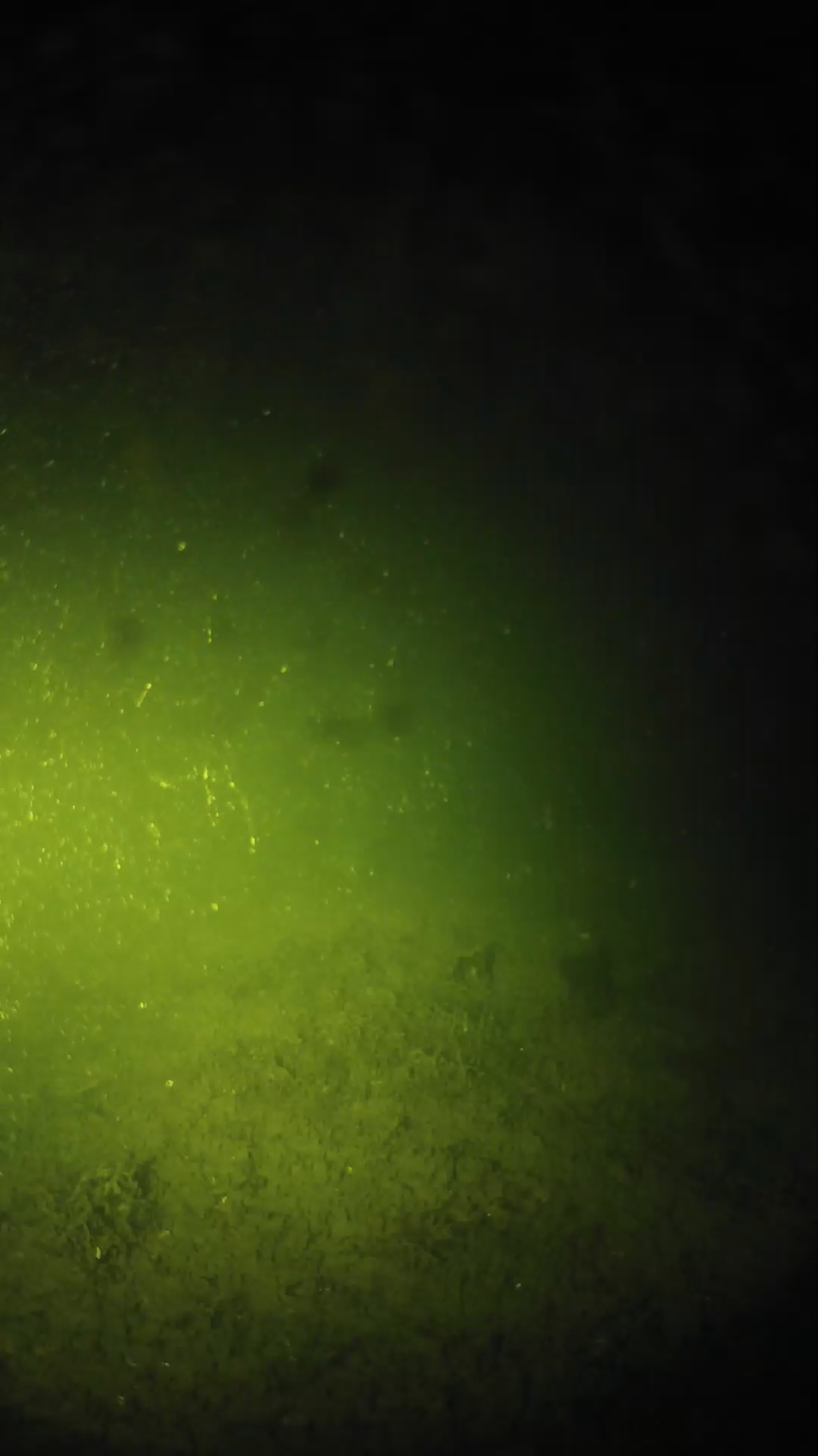 lander_ipcam_20240623233554.png