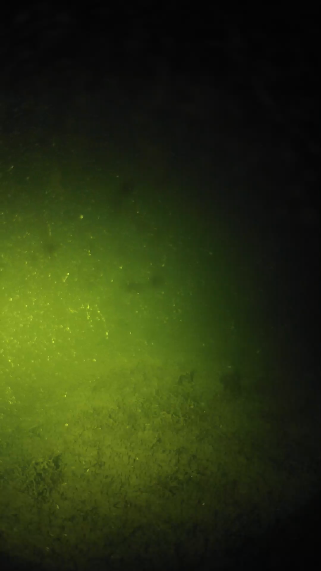 lander_ipcam_20240623233556.png