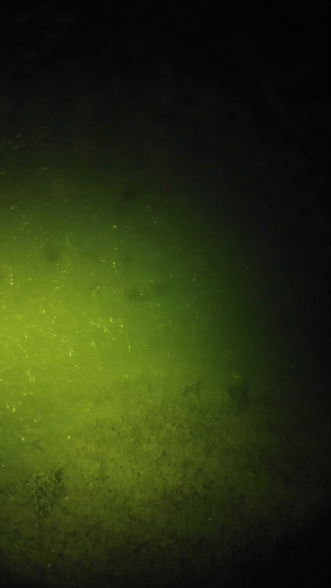 lander_ipcam_20240623233558.png