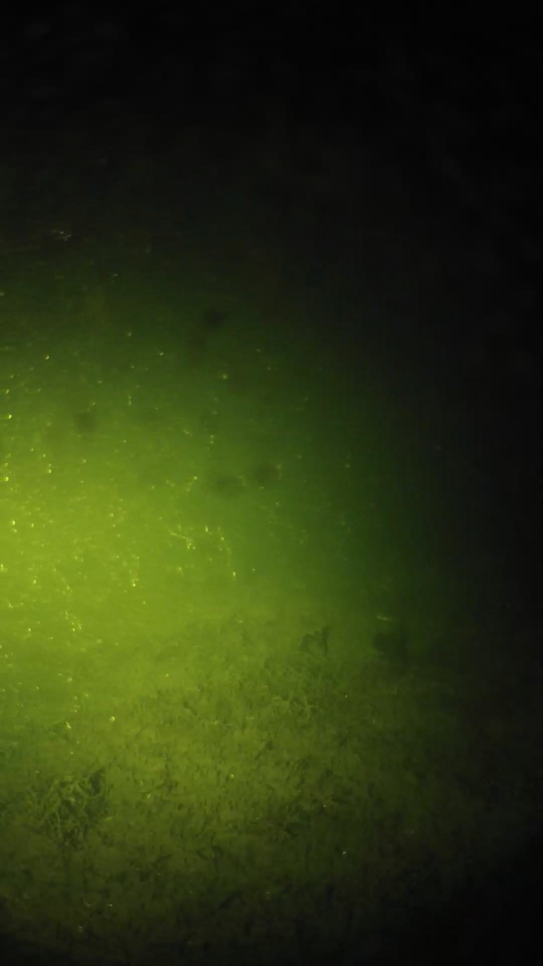 lander_ipcam_20240623233559.png