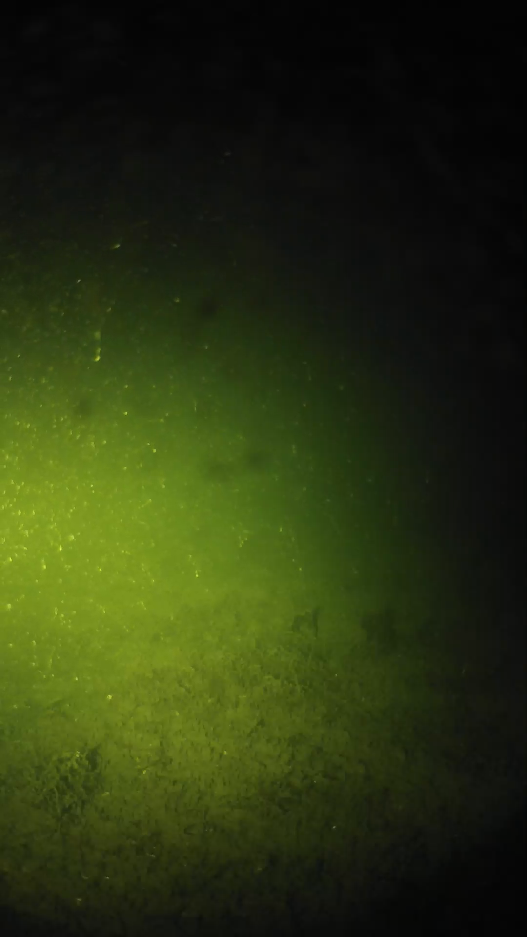 lander_ipcam_20240623233605.png