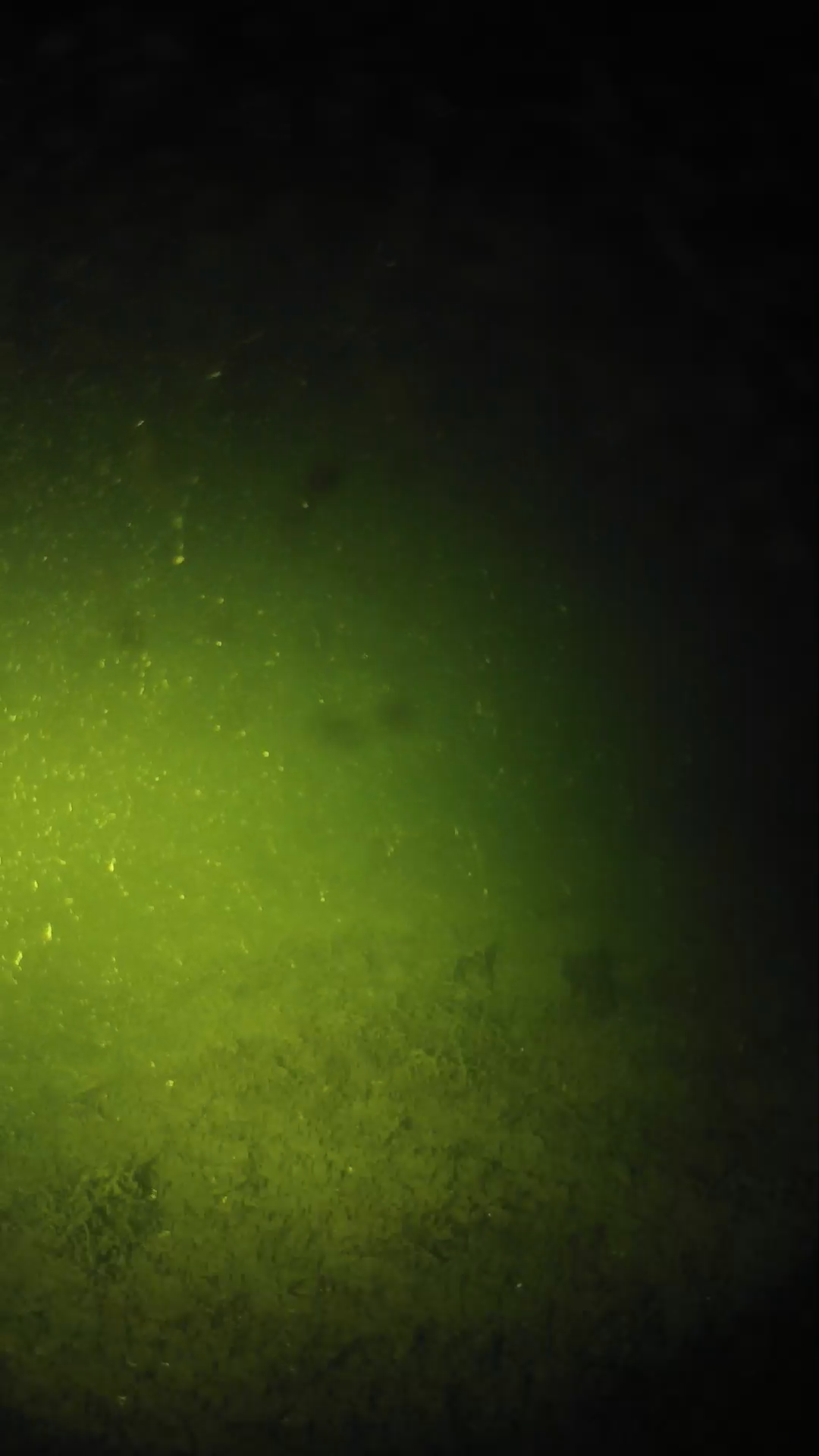 lander_ipcam_20240623233607.png