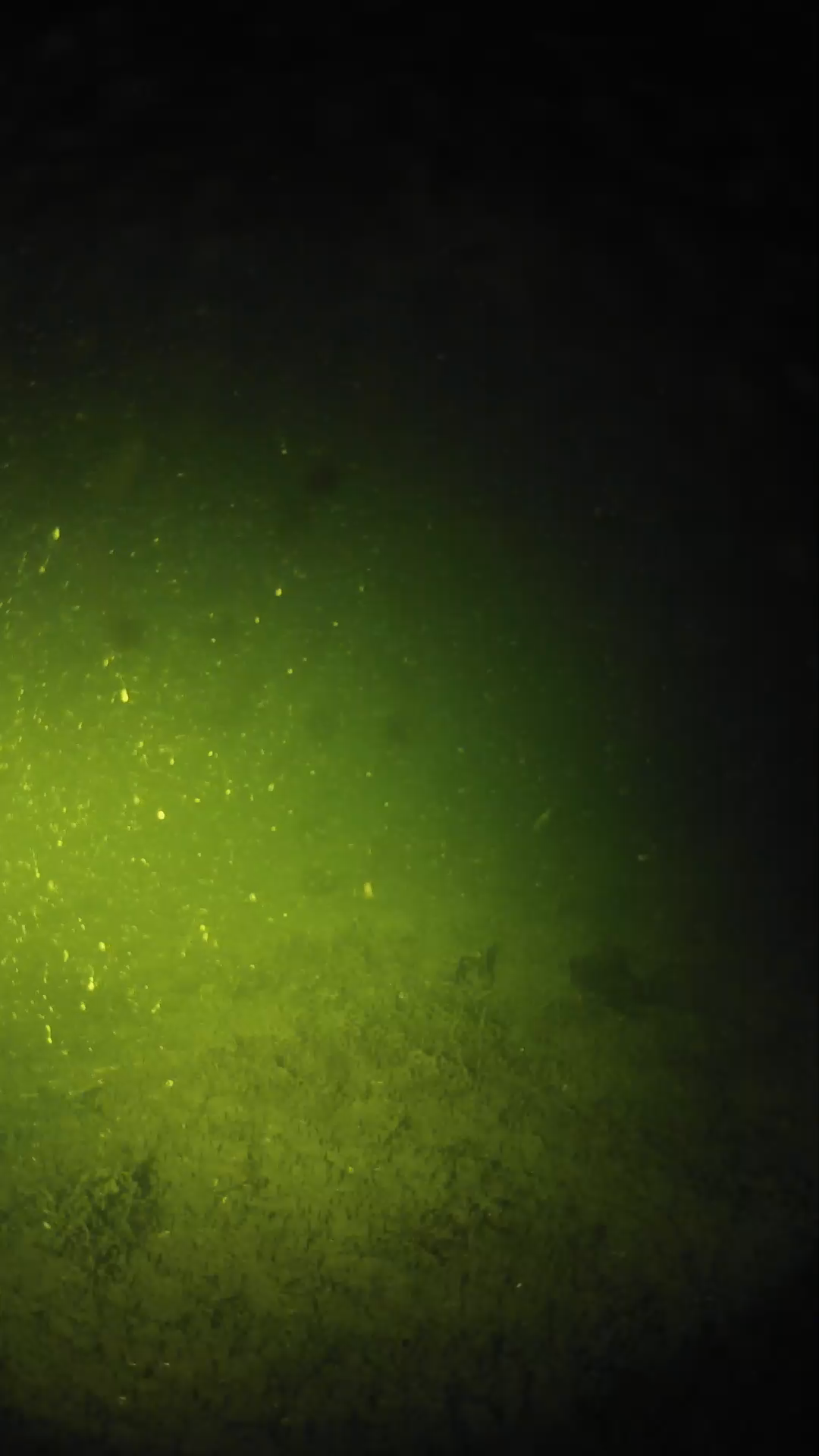 lander_ipcam_20240624000551.png