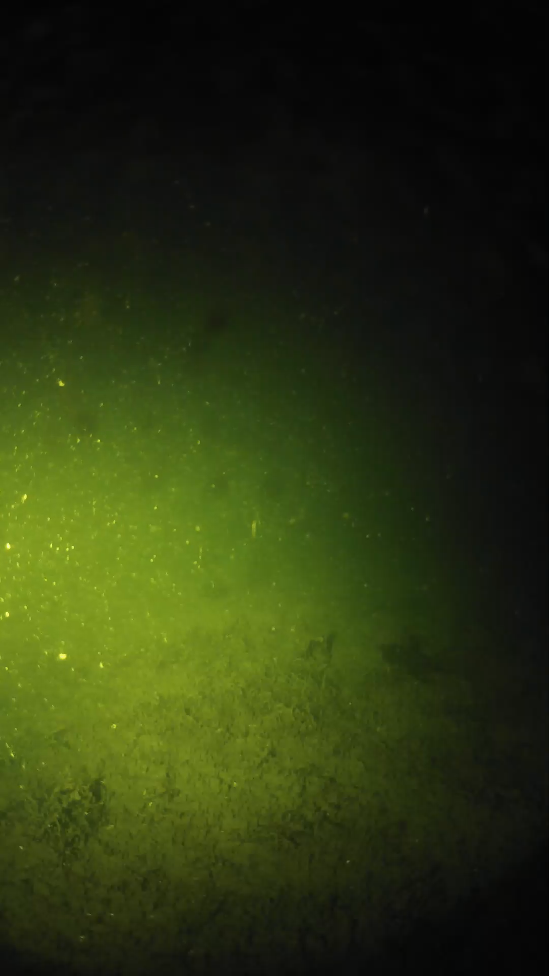 lander_ipcam_20240624000556.png