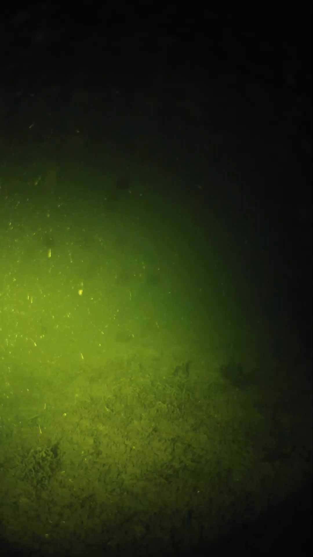 lander_ipcam_20240624003553.png