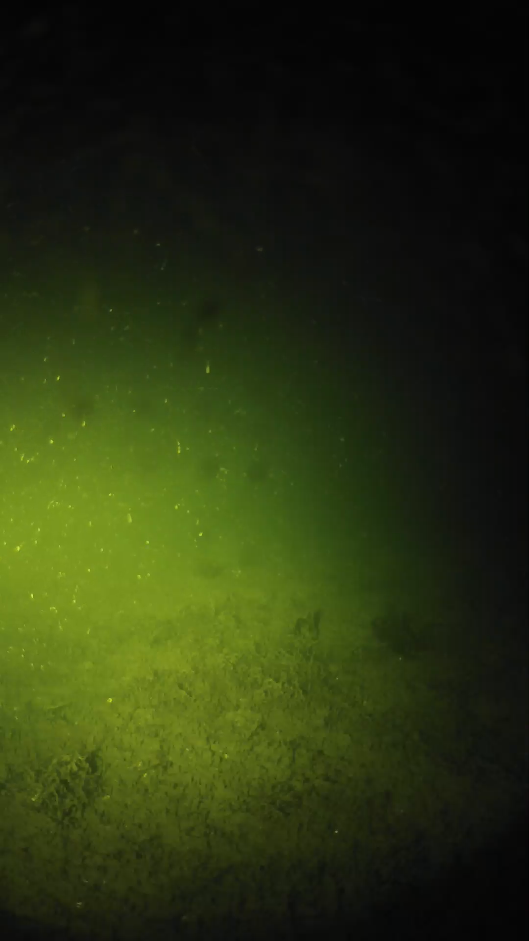 lander_ipcam_20240624013542.png