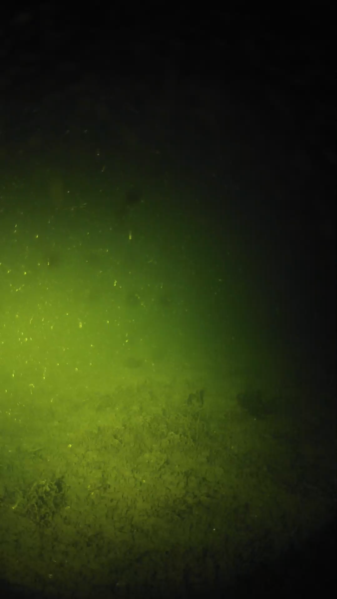 lander_ipcam_20240624013543.png