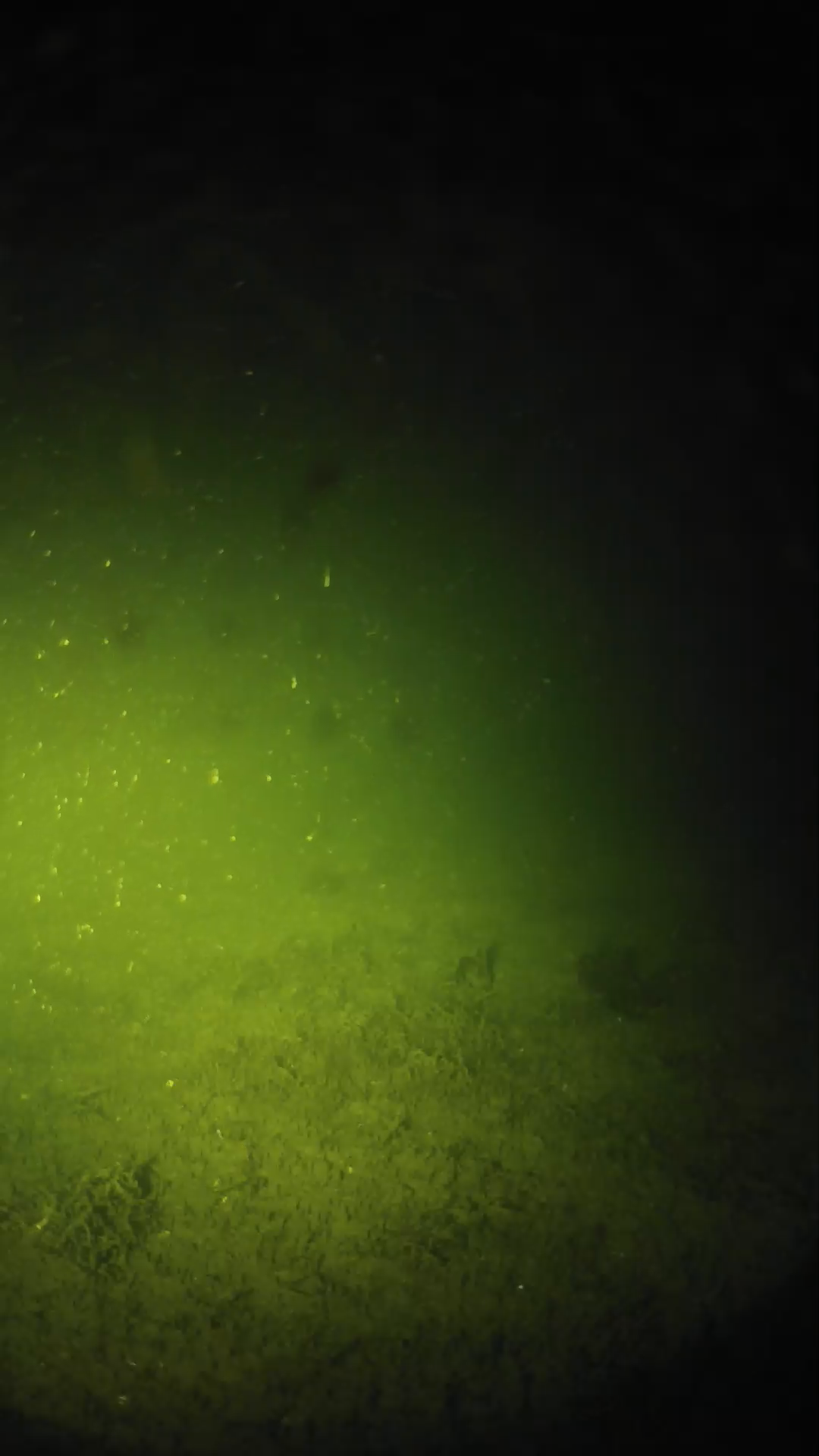 lander_ipcam_20240624013544.png